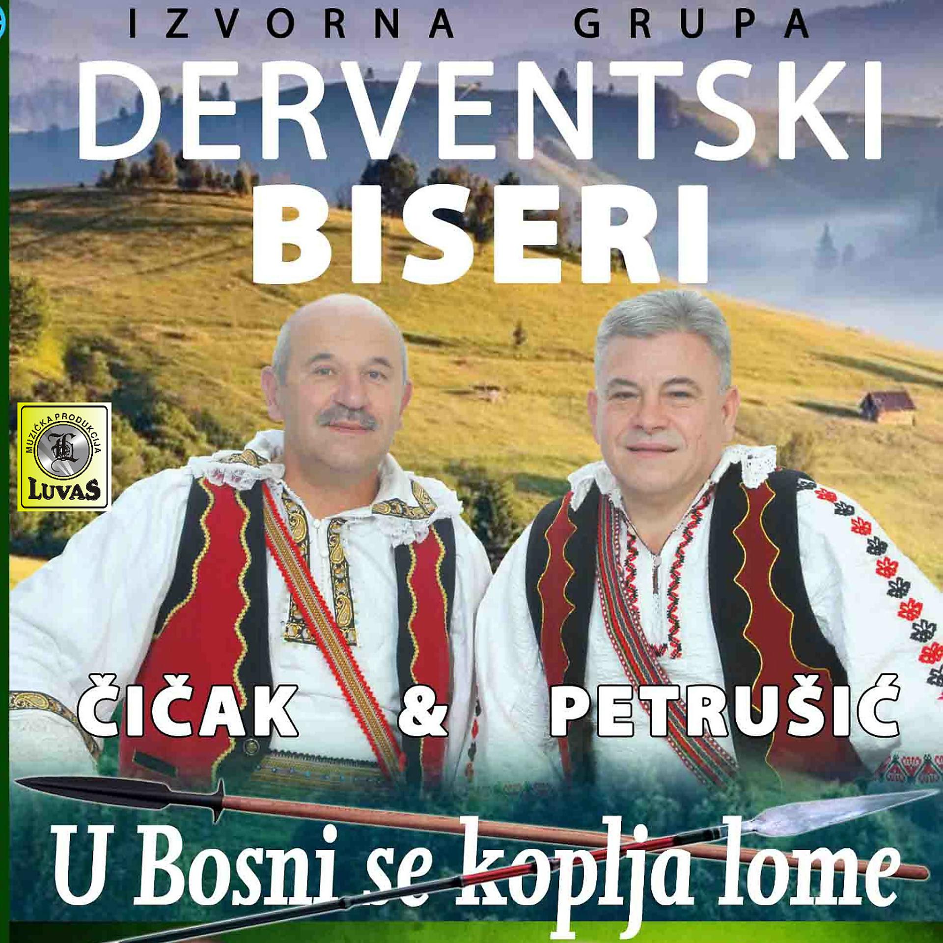 Постер альбома U Bosni se koplja lome