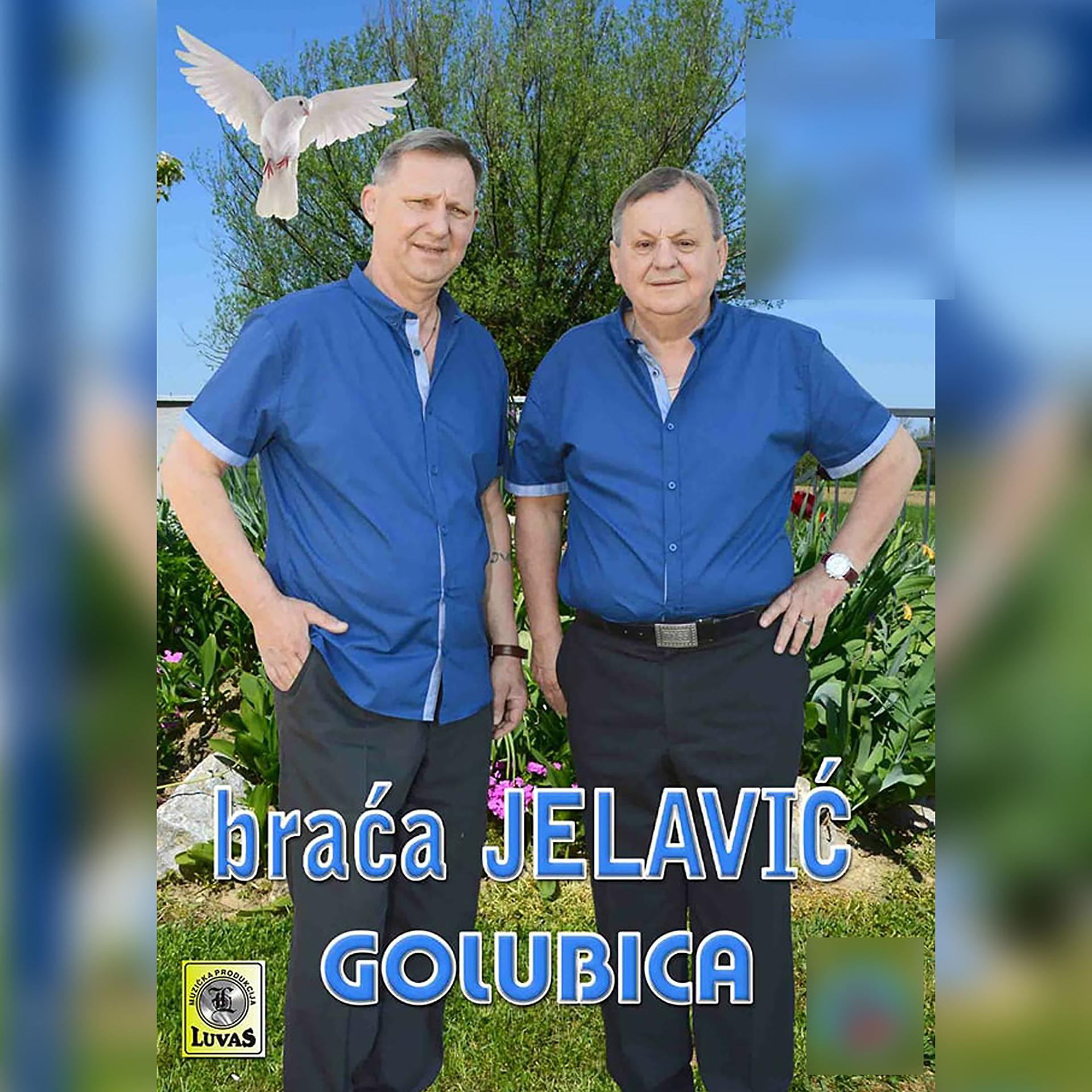 Постер альбома Golubica