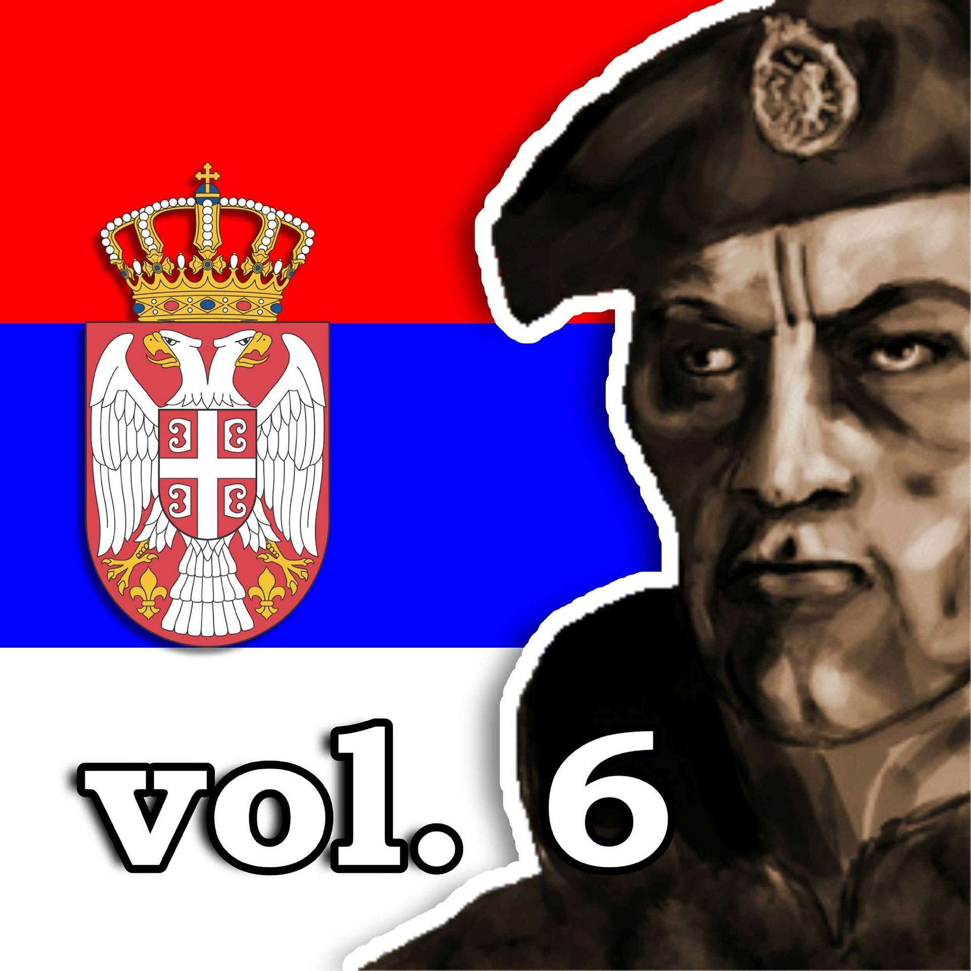 Постер альбома Koktel patriotskih hitova vol. 6