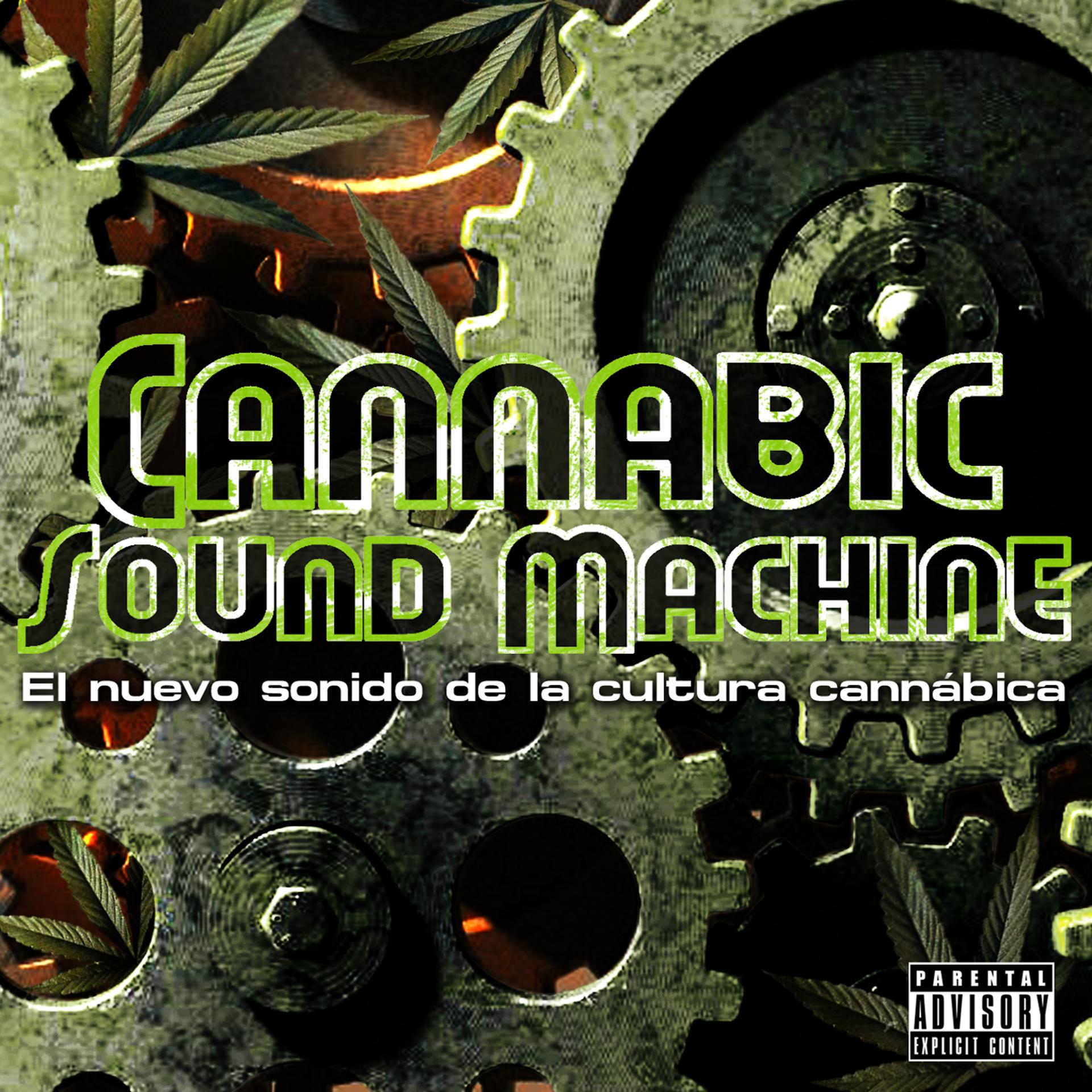 Постер альбома Cannabic Sound Machine