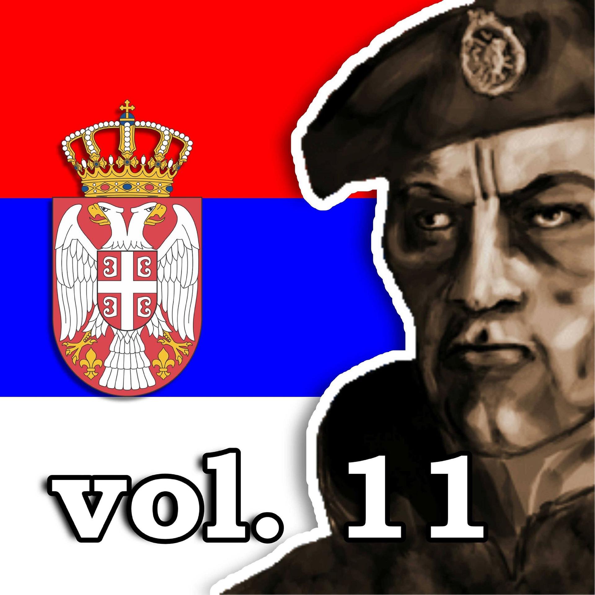 Постер альбома Koktel patriotskih hitova vol. 11