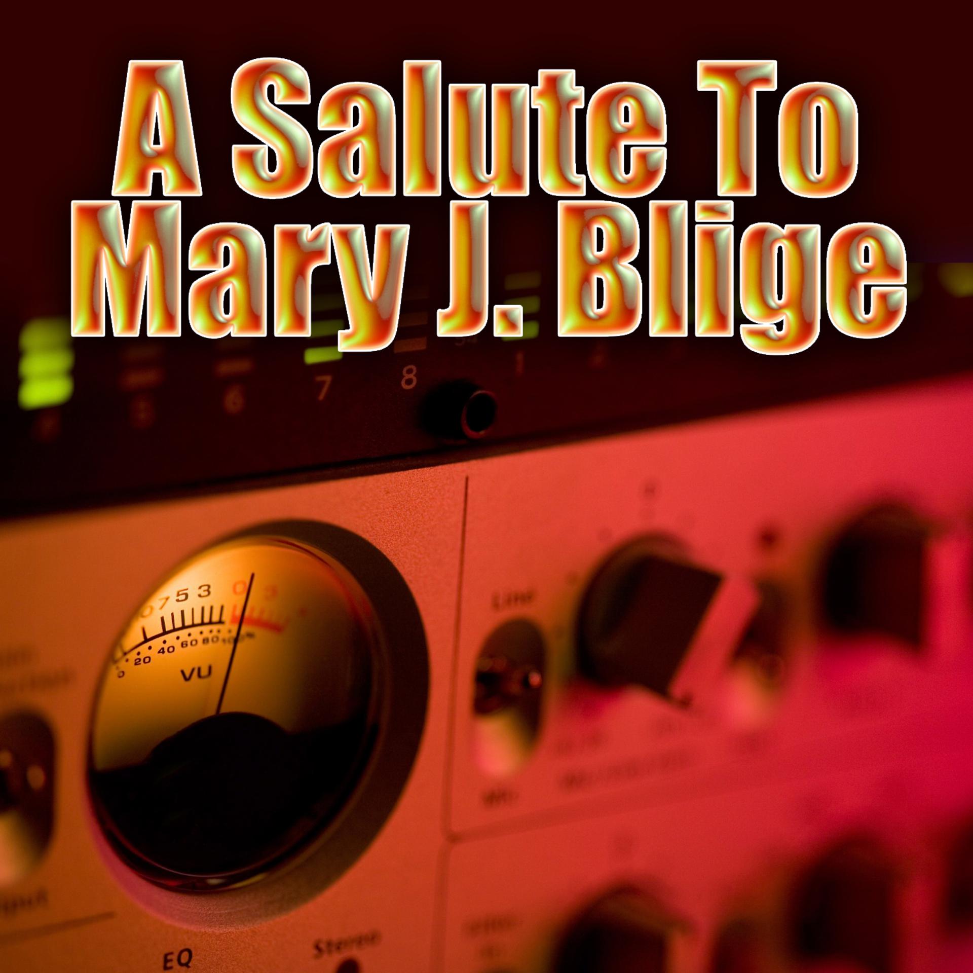 Постер альбома A Salute To Mary J. Blige