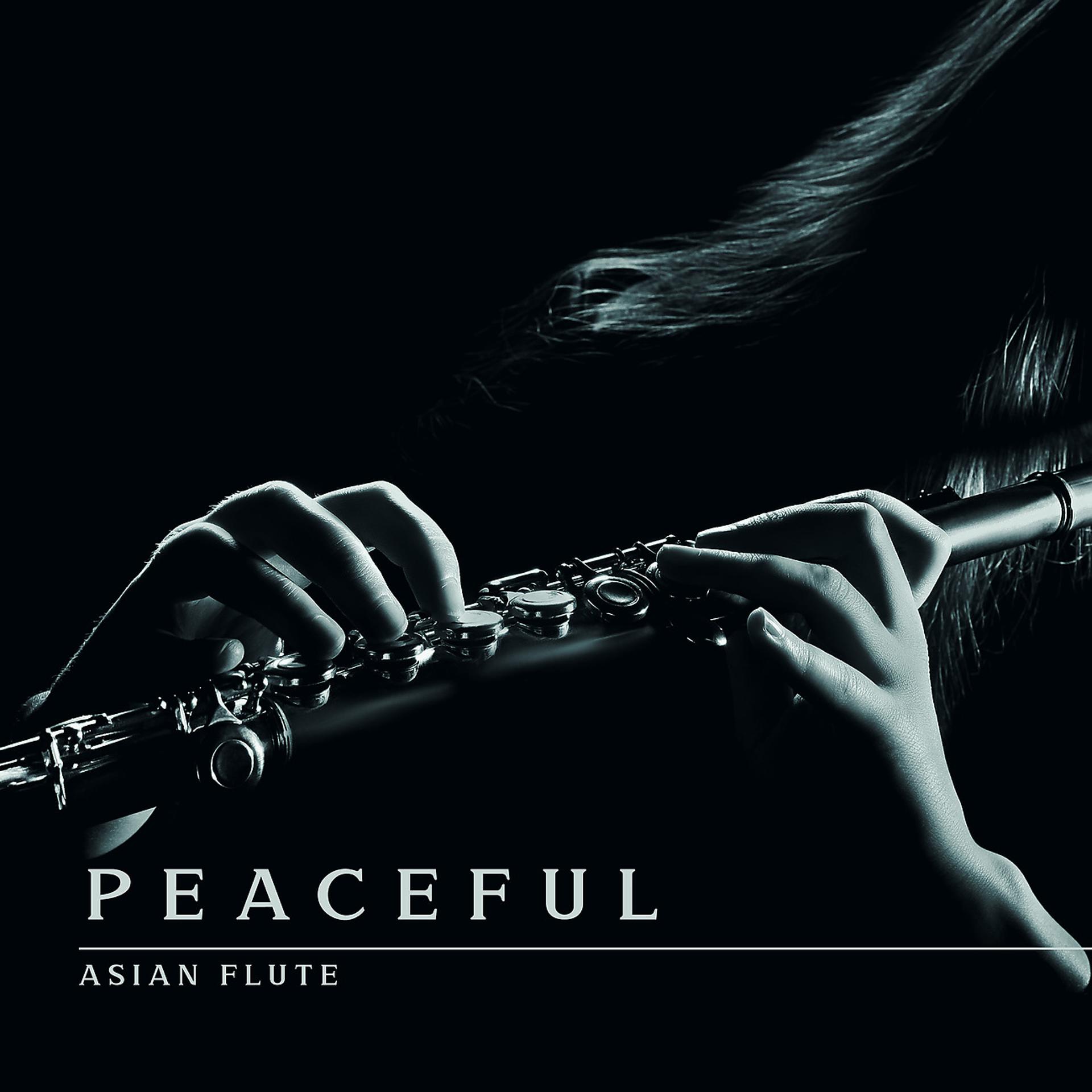 Постер альбома Peaceful Asian Flute
