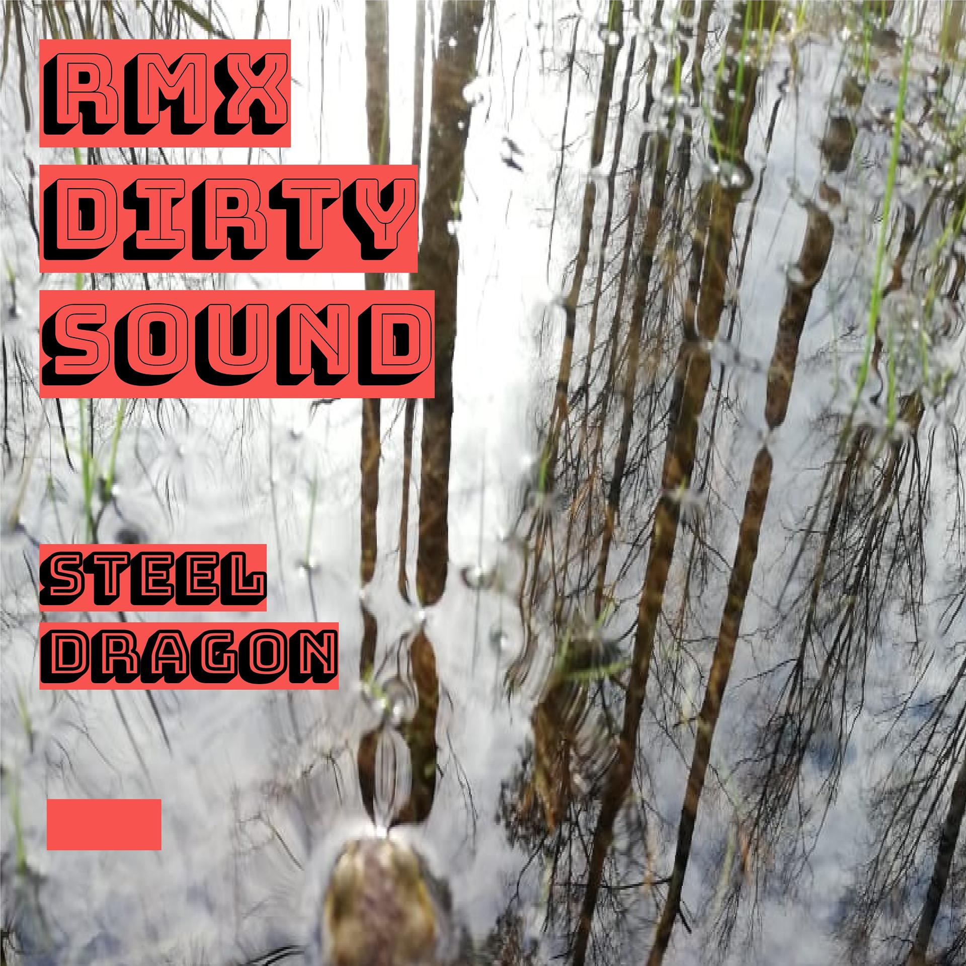 Постер альбома RMX Dirty Sound
