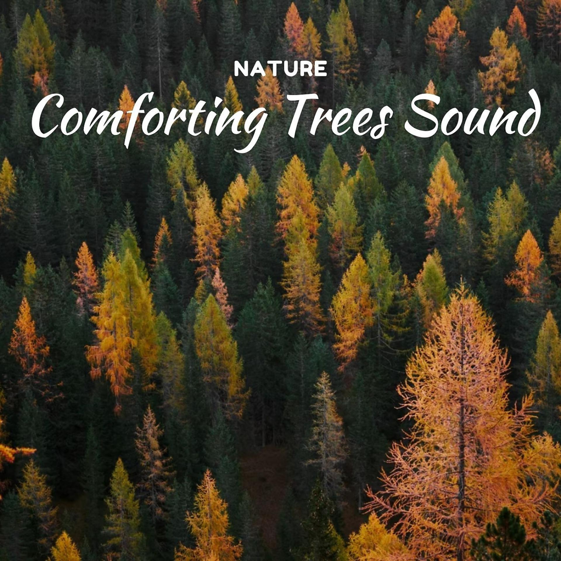 Постер альбома Nature: Comforting Trees Sound