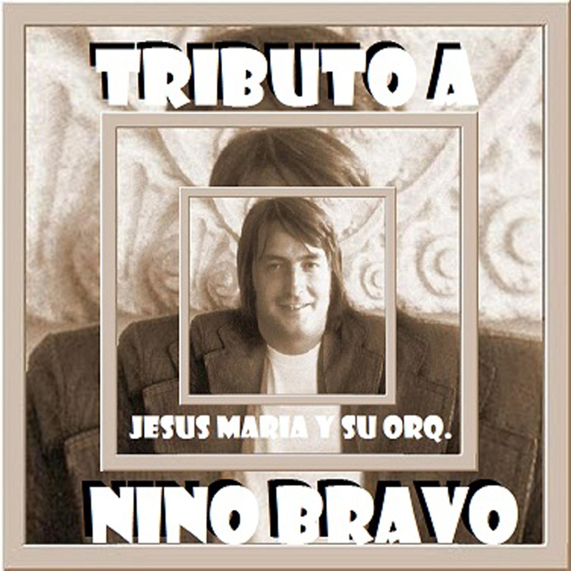 Постер альбома Tributo a Nino Bravo