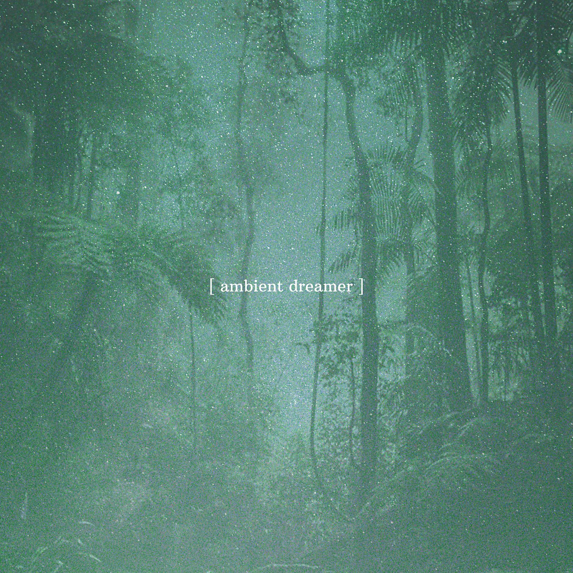 Постер альбома Serene Forest