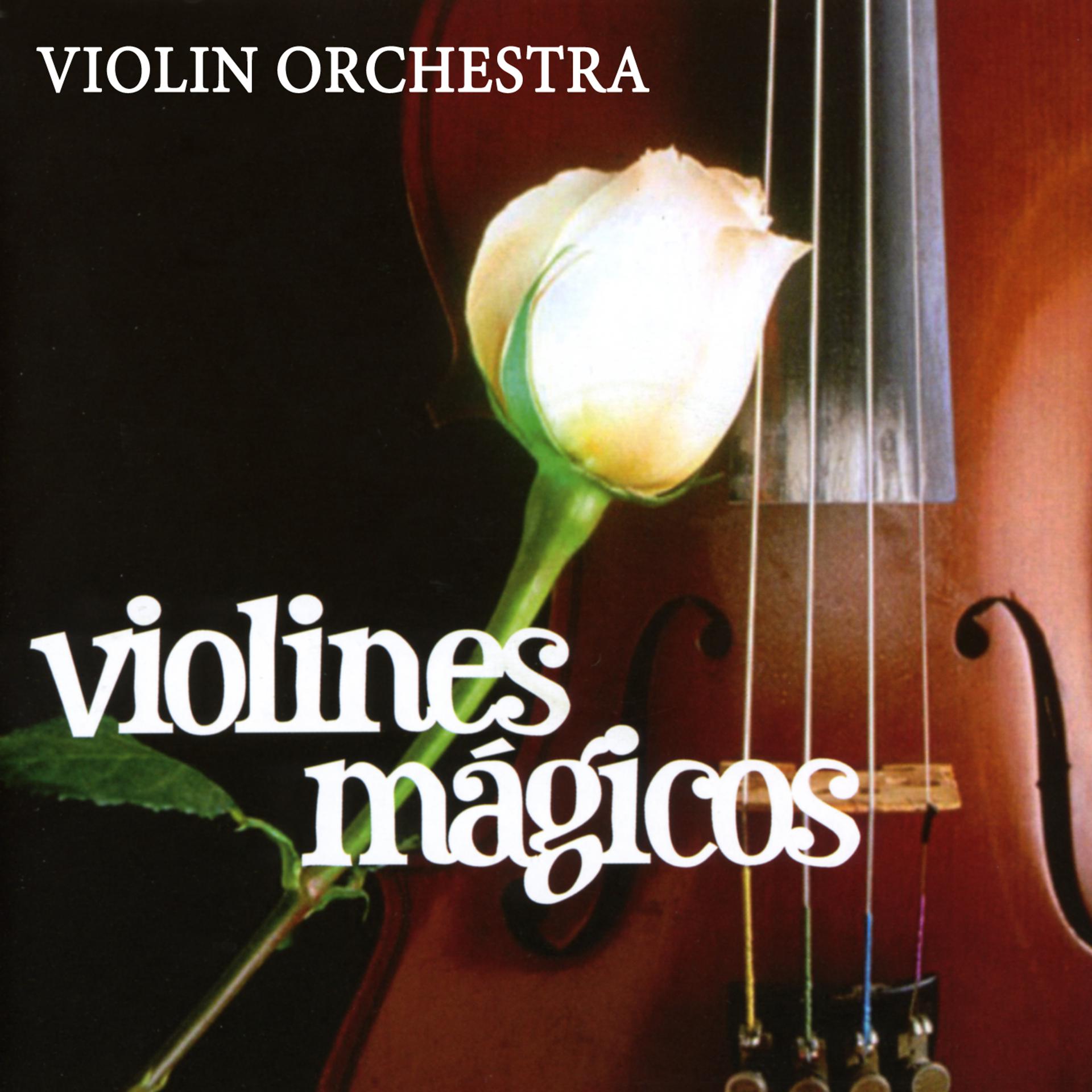 Постер альбома Violines Mágicos