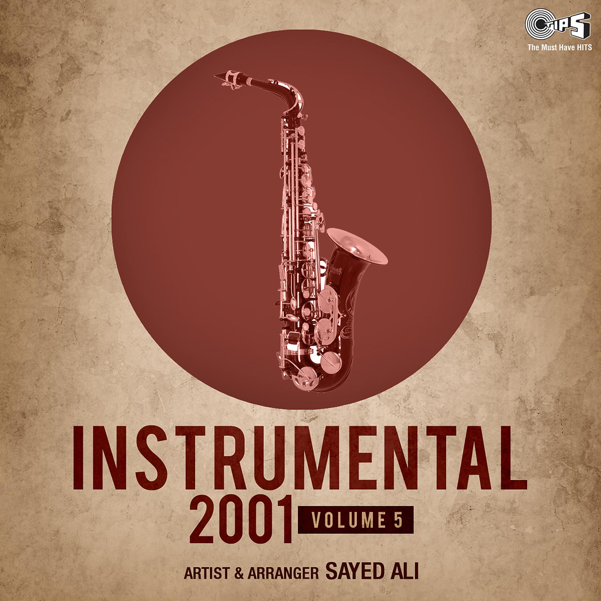 Постер альбома Instrumental 2001, Vol. 5