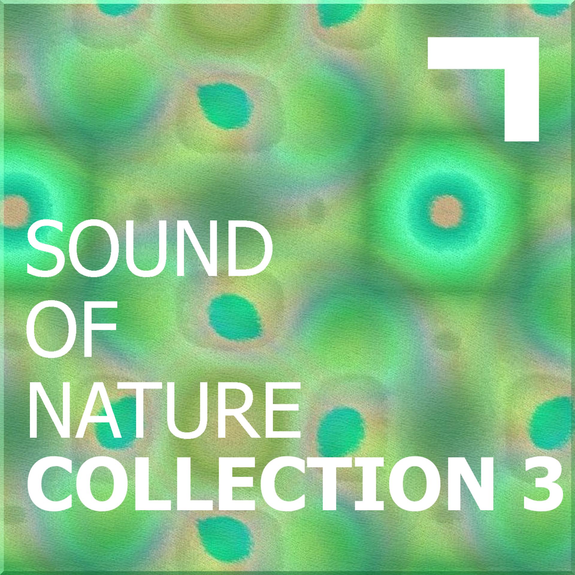 Постер альбома Sound of the nature – collection 3