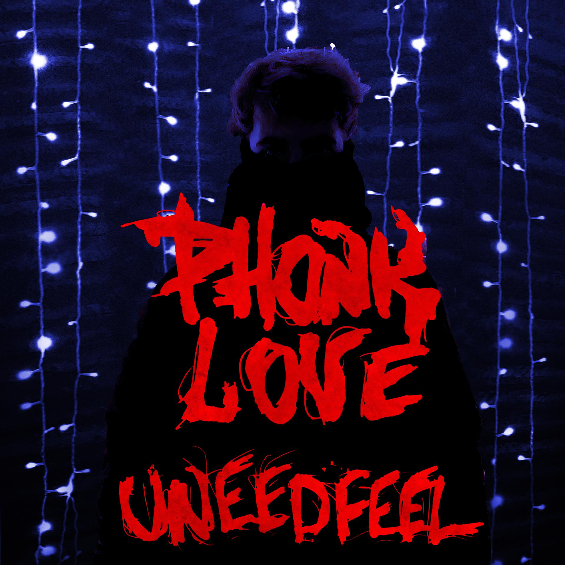 Постер альбома Phonk Love