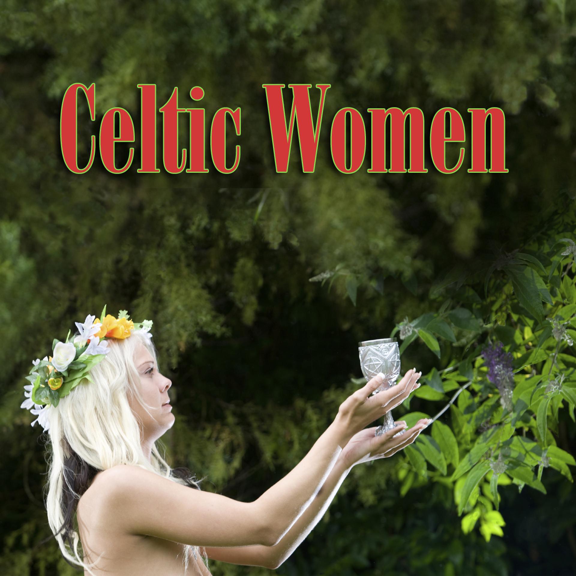 Постер альбома Celtic Women
