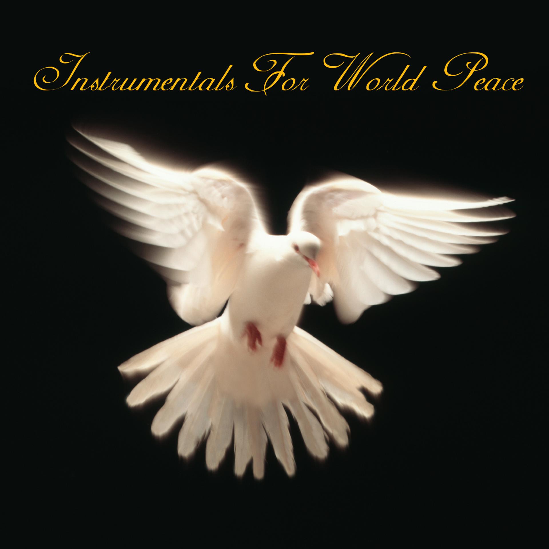 Постер альбома Instrumentals For World Peace