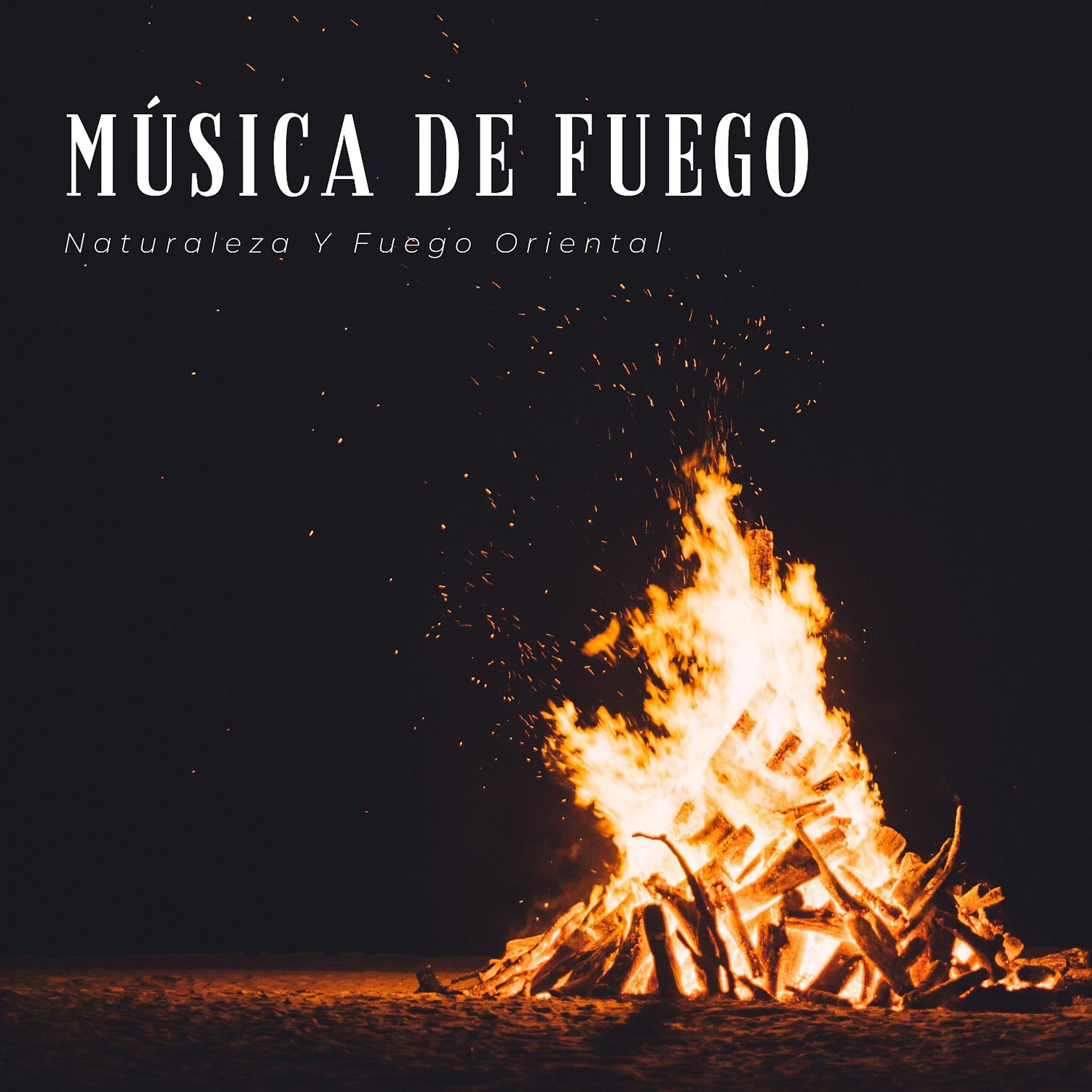 Постер альбома Música De Fuego: Naturaleza y Fuego Oriental