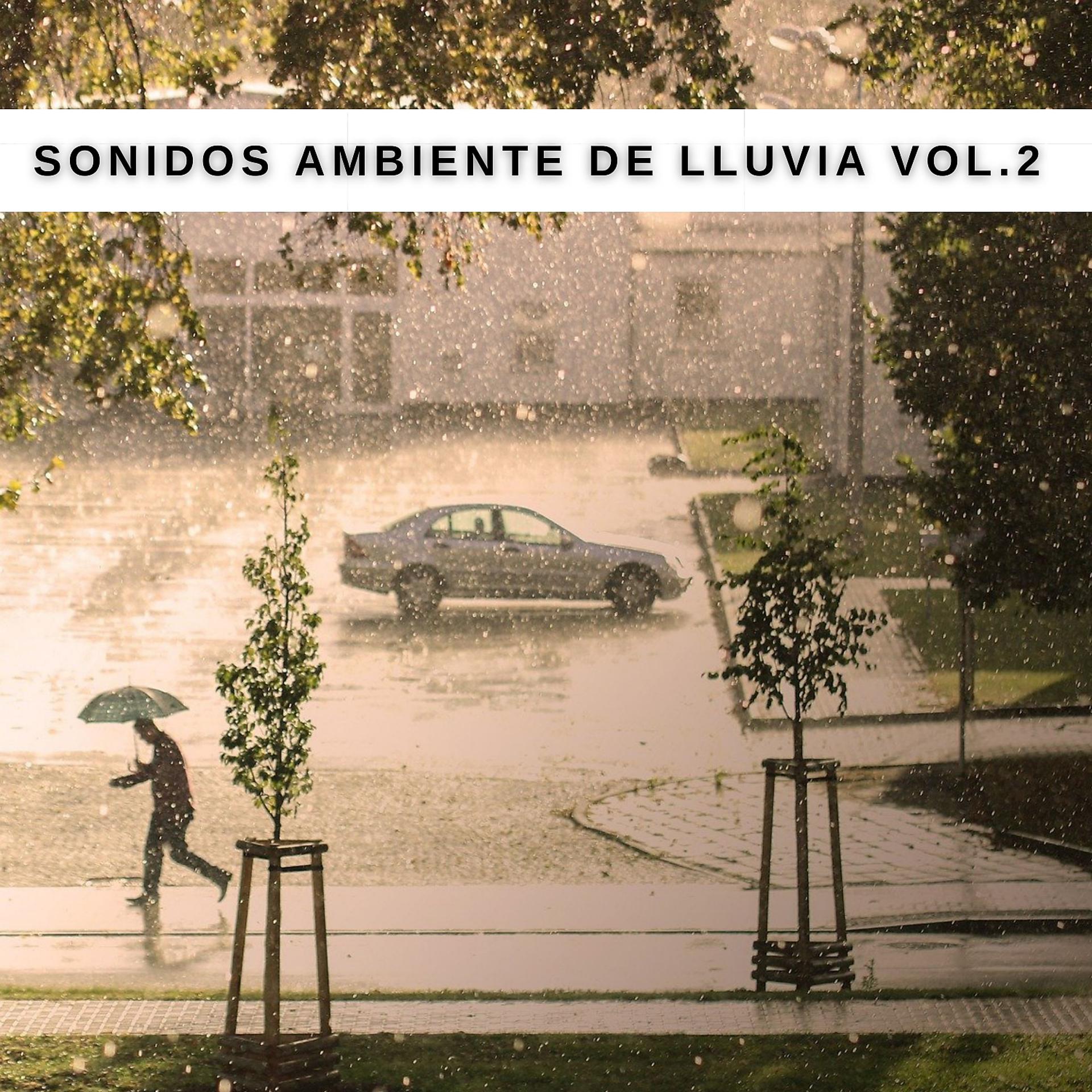 Постер альбома Sonidos Ambiente De Lluvia Vol. 2