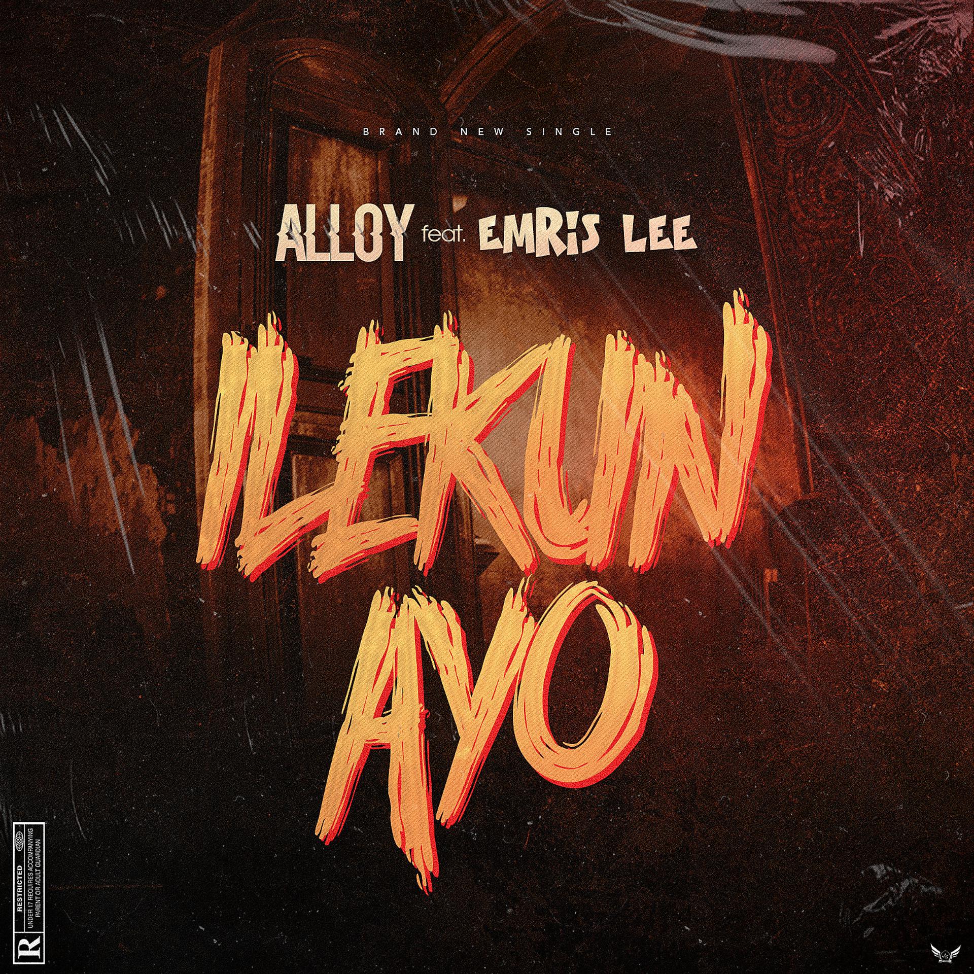 Постер альбома Ilekun Ayo (feat. Emris lee)