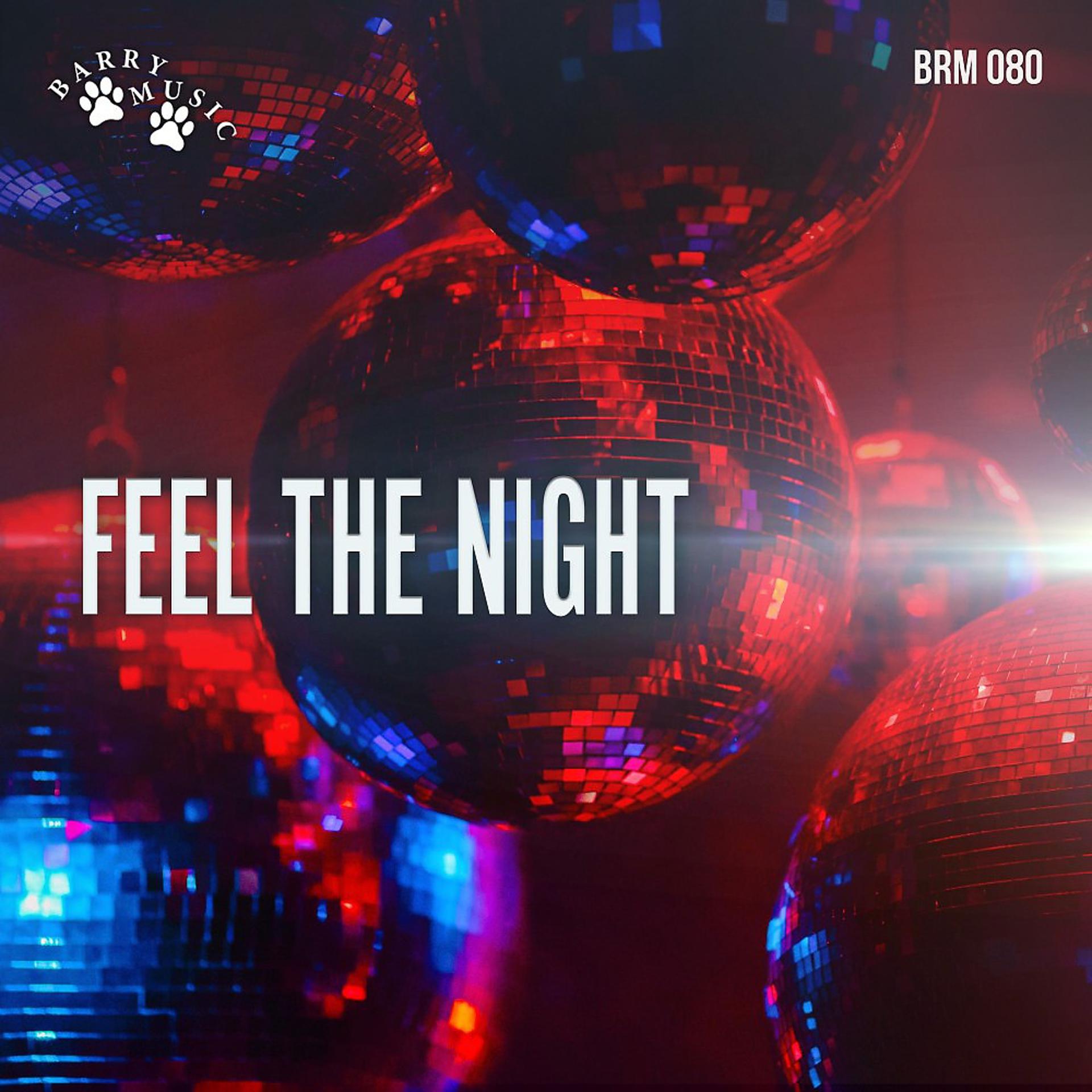 Постер альбома Feel the Night