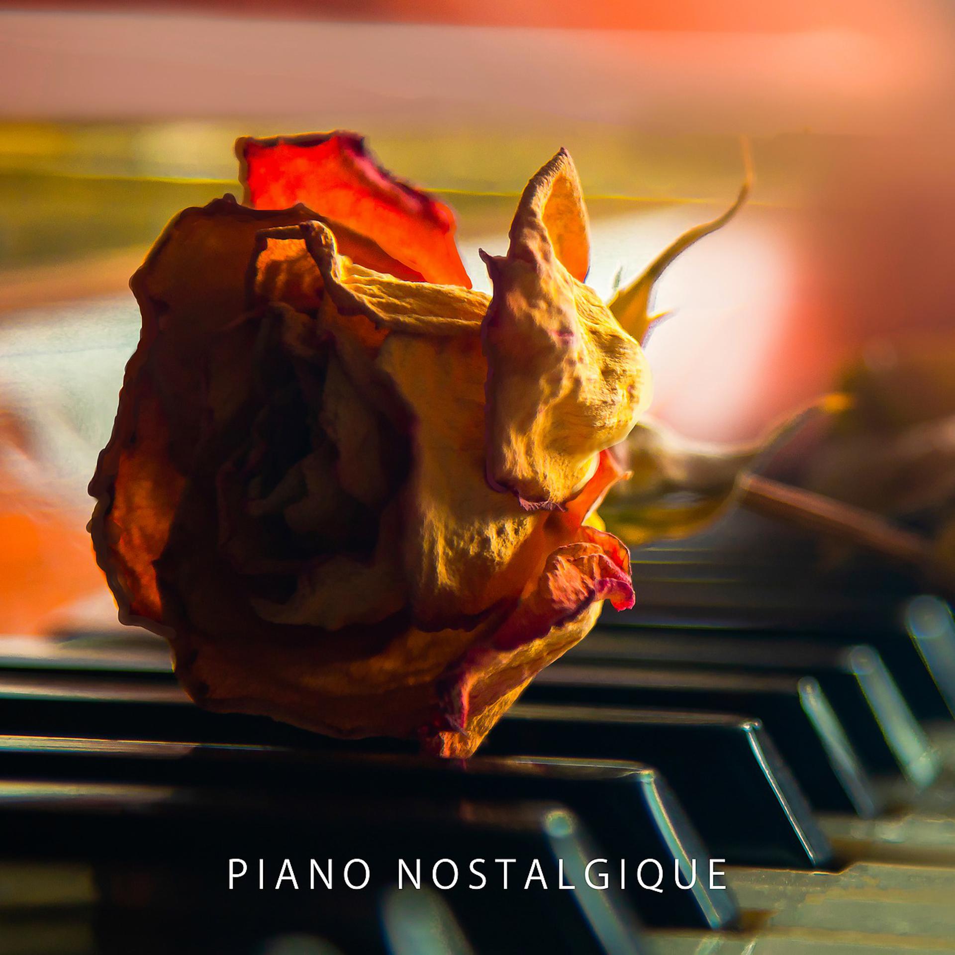 Постер альбома Piano nostalgique