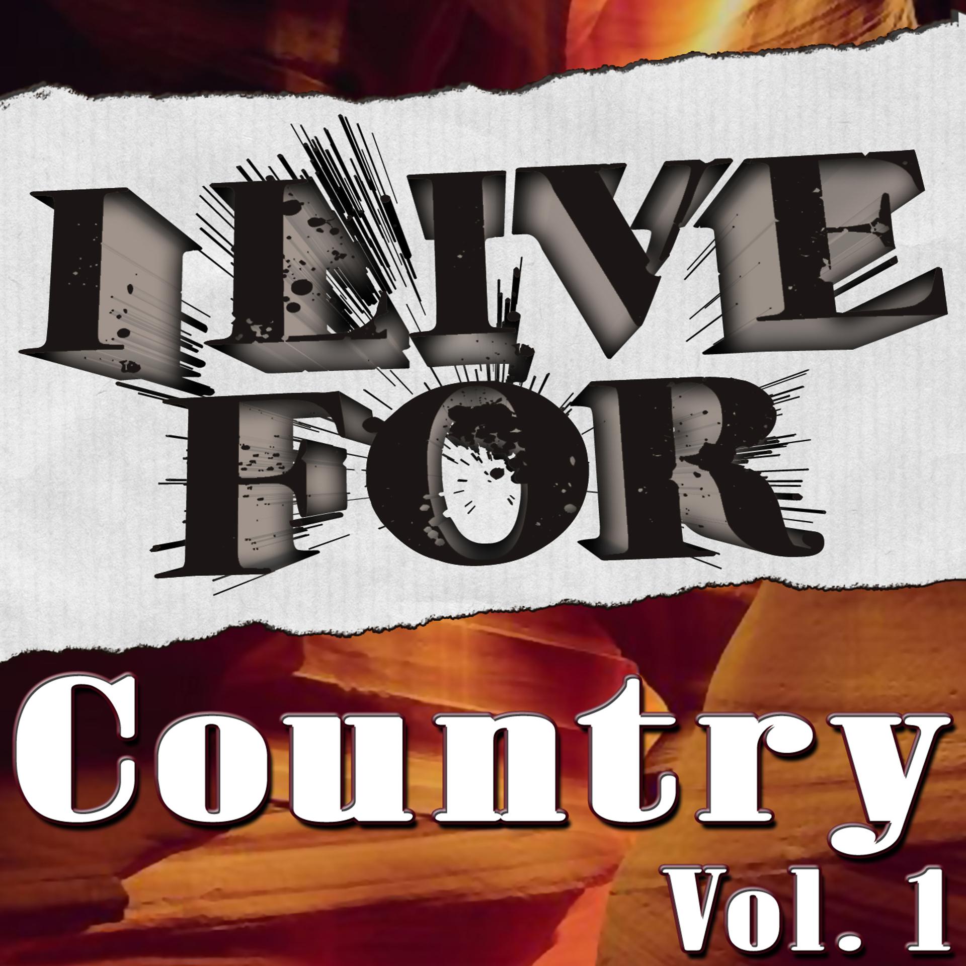 Постер альбома I Live For Country Vol. 1