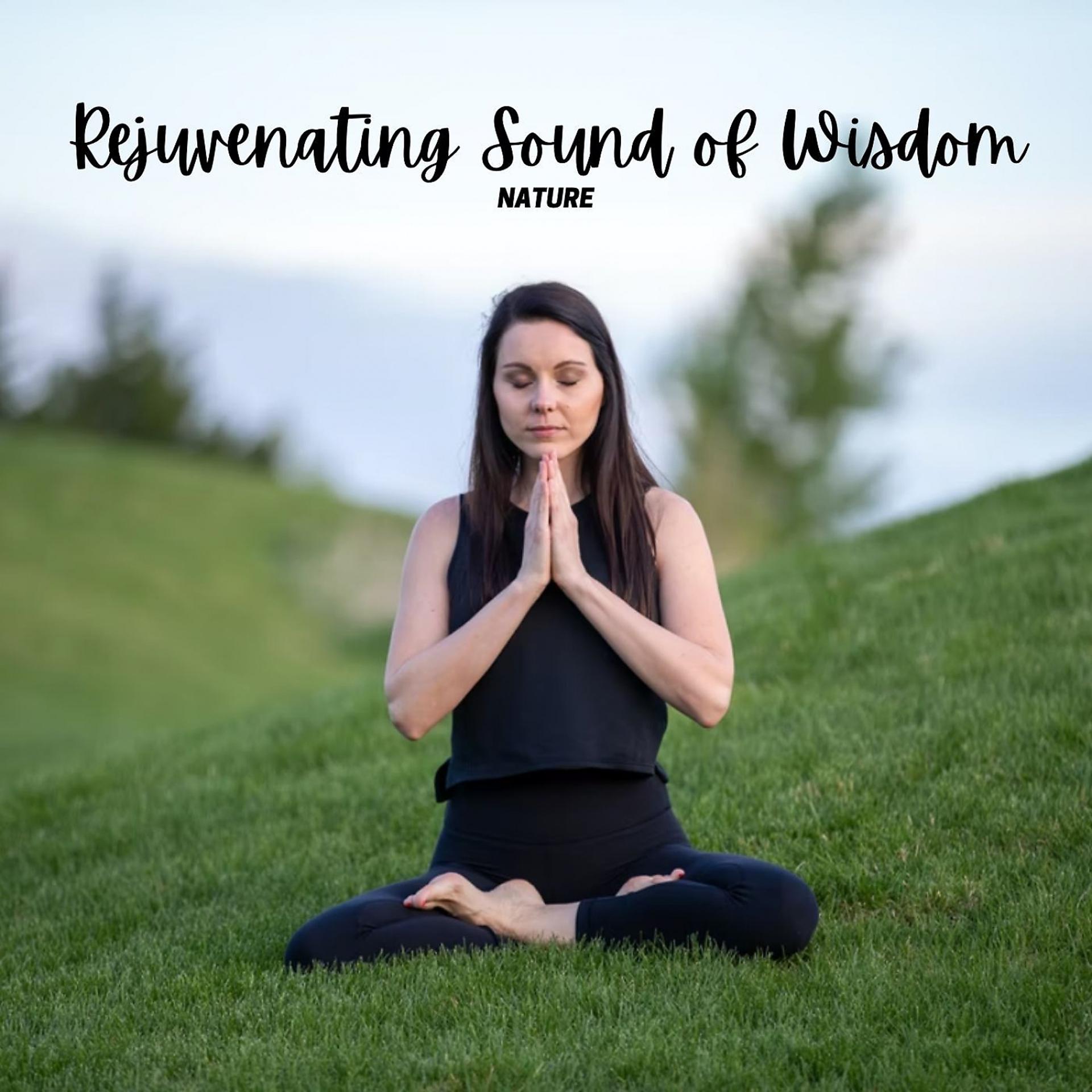 Постер альбома Nature: Rejuvenating Sound of Wisdom
