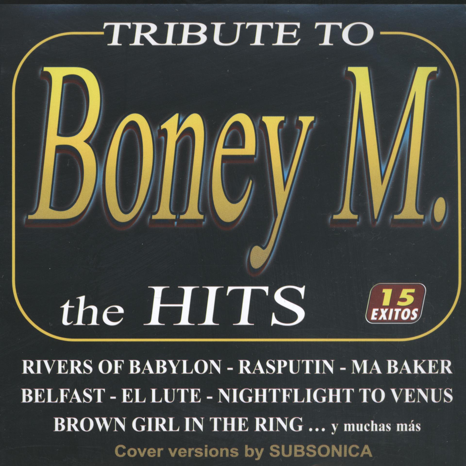 Постер альбома Tribute To Boney M.- The Hits