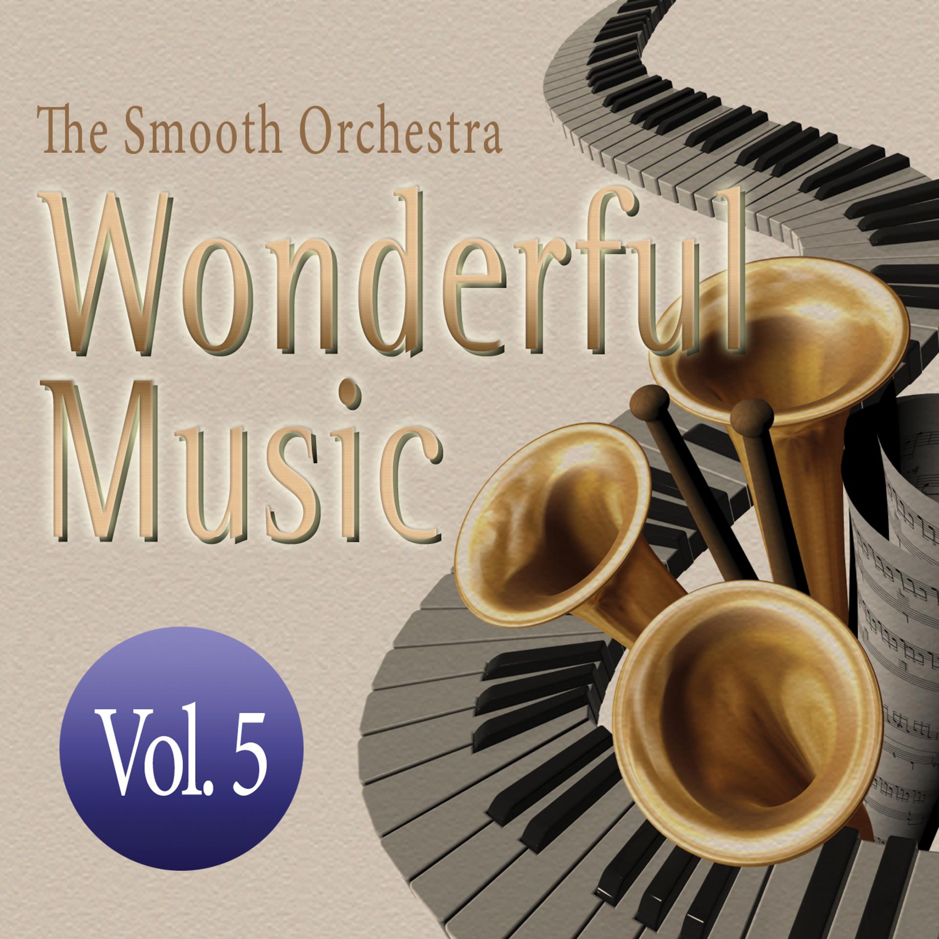 Постер альбома Wonderful Music Vol. 5