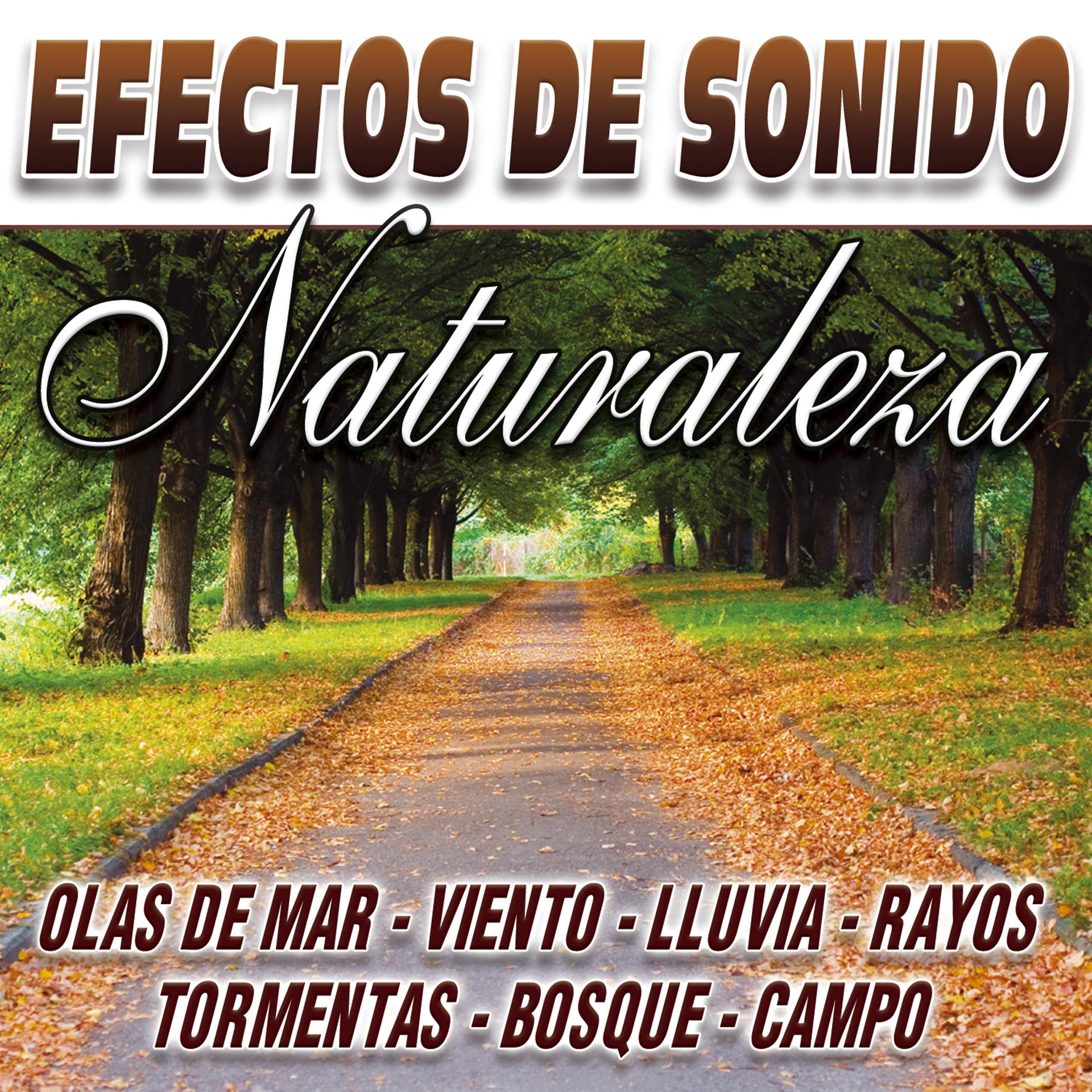 Постер альбома Efectos De Sonido Vol.9