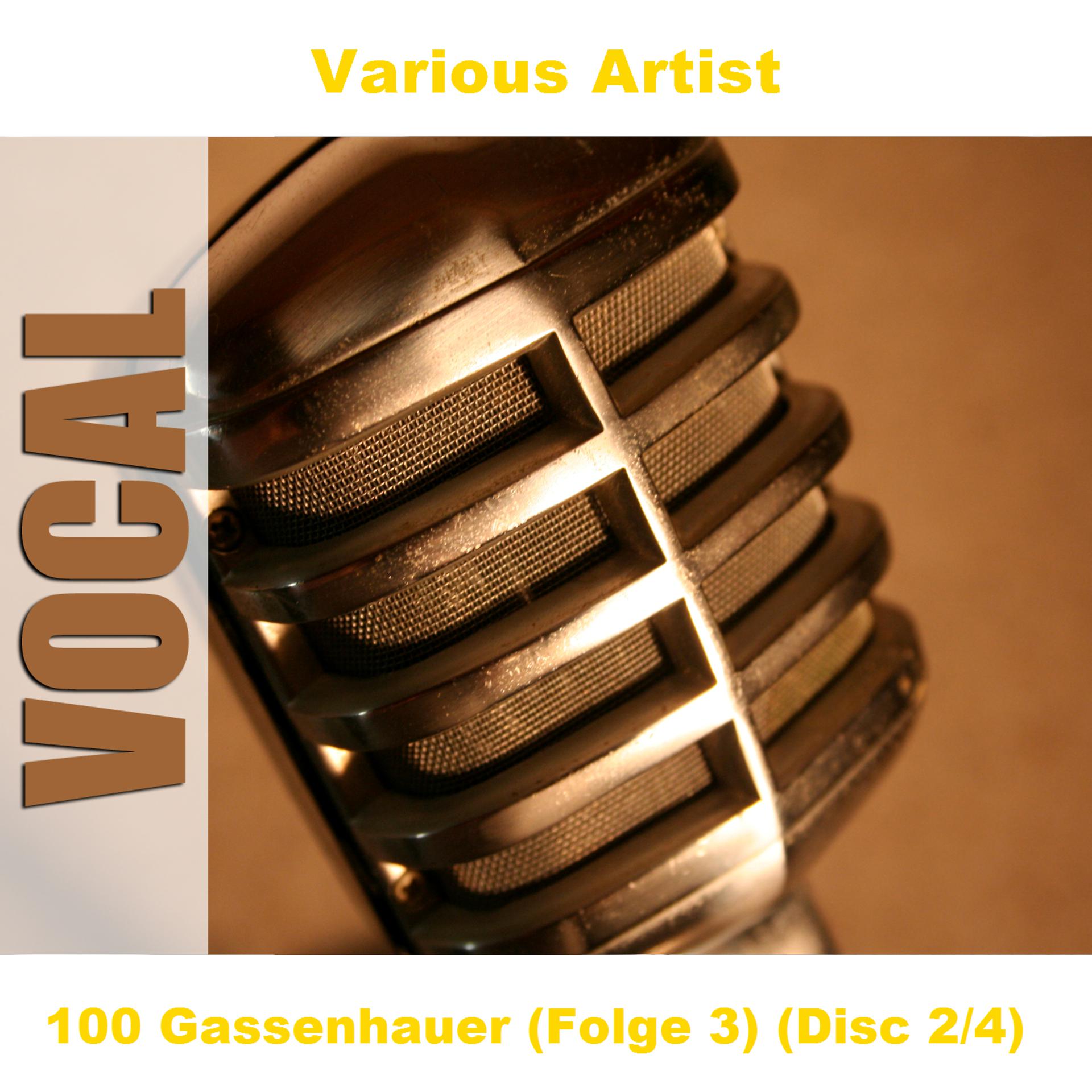 Постер альбома 100 Gassenhauer (Folge 3) (Disc 2/4)