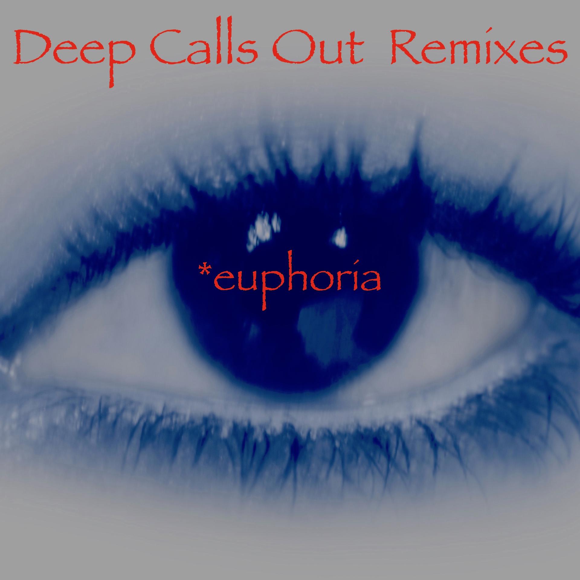Постер альбома Deep Calls out (Remixes)