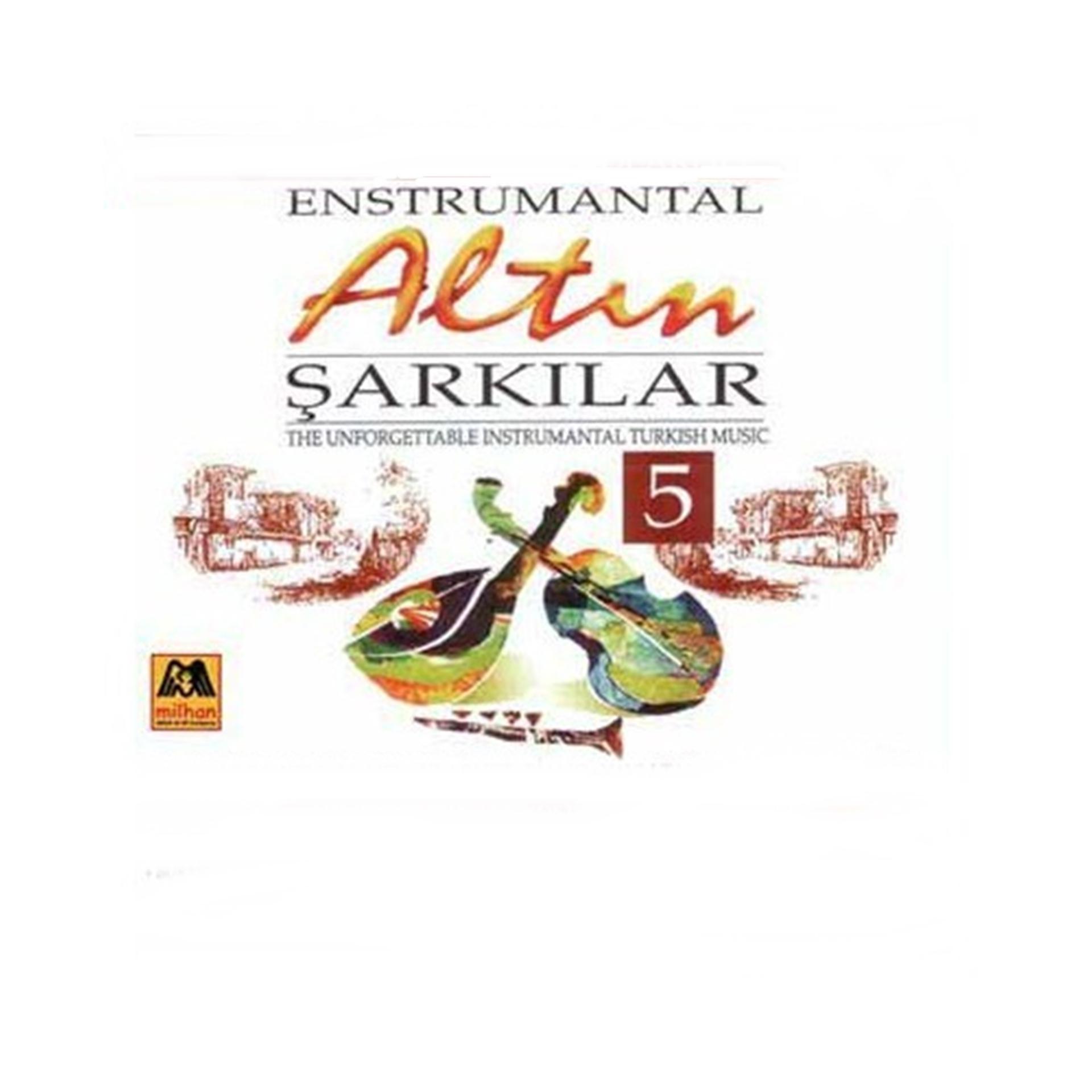 Постер альбома Enstrumantal Altın Şarkılar-5