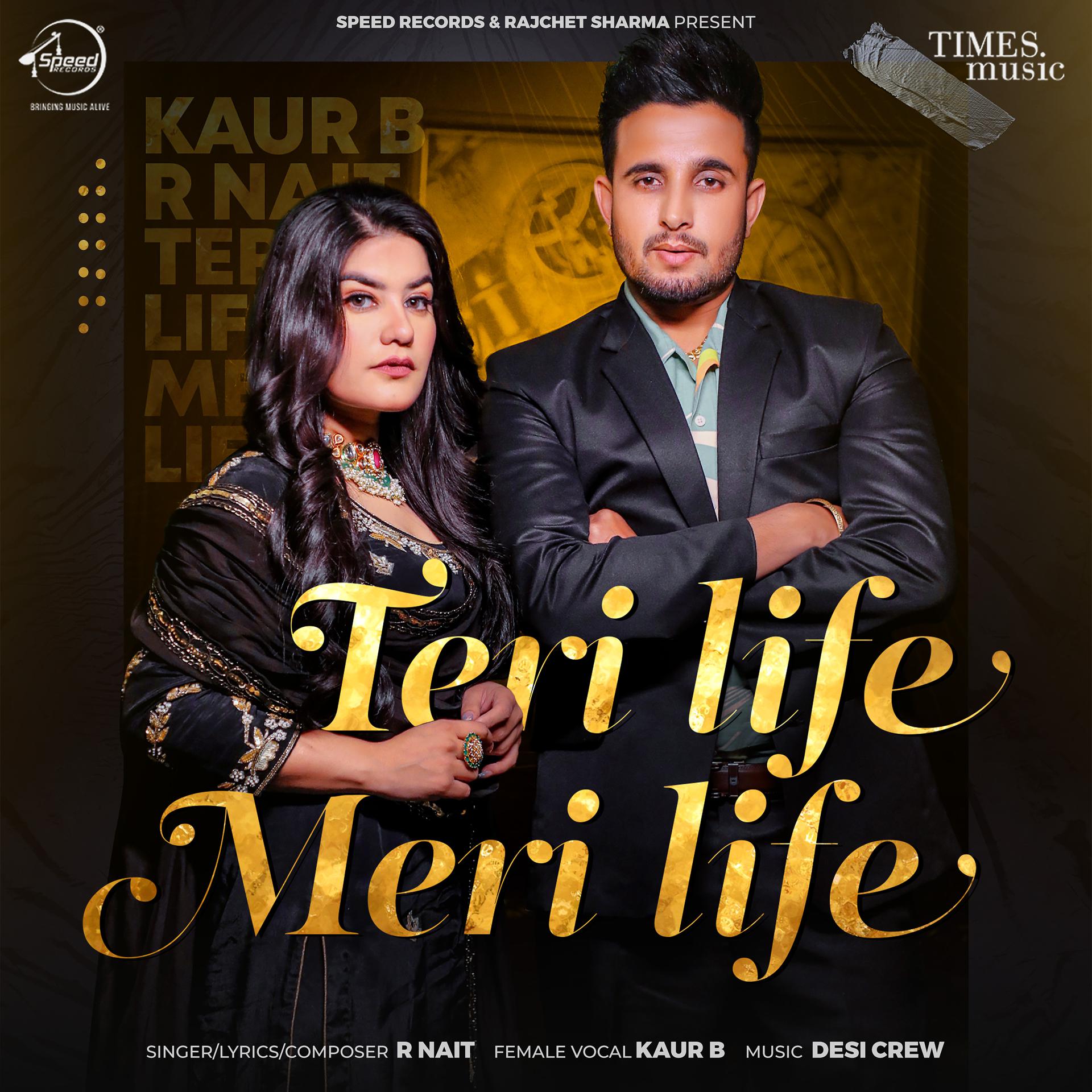 Постер альбома Teri Life Meri Life