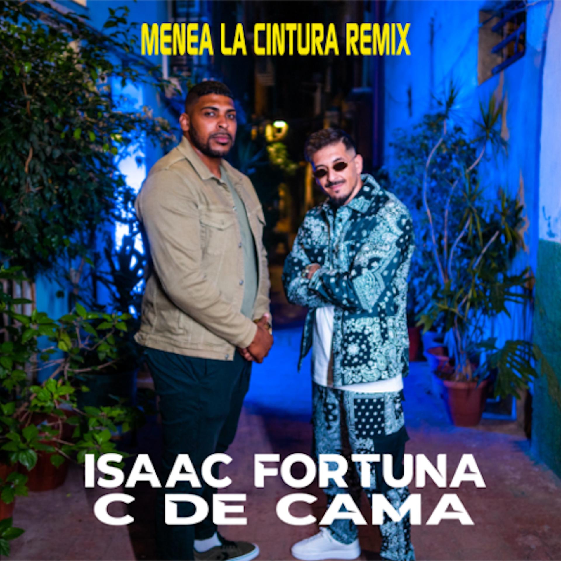Постер альбома Menea la Cintura (Remix)