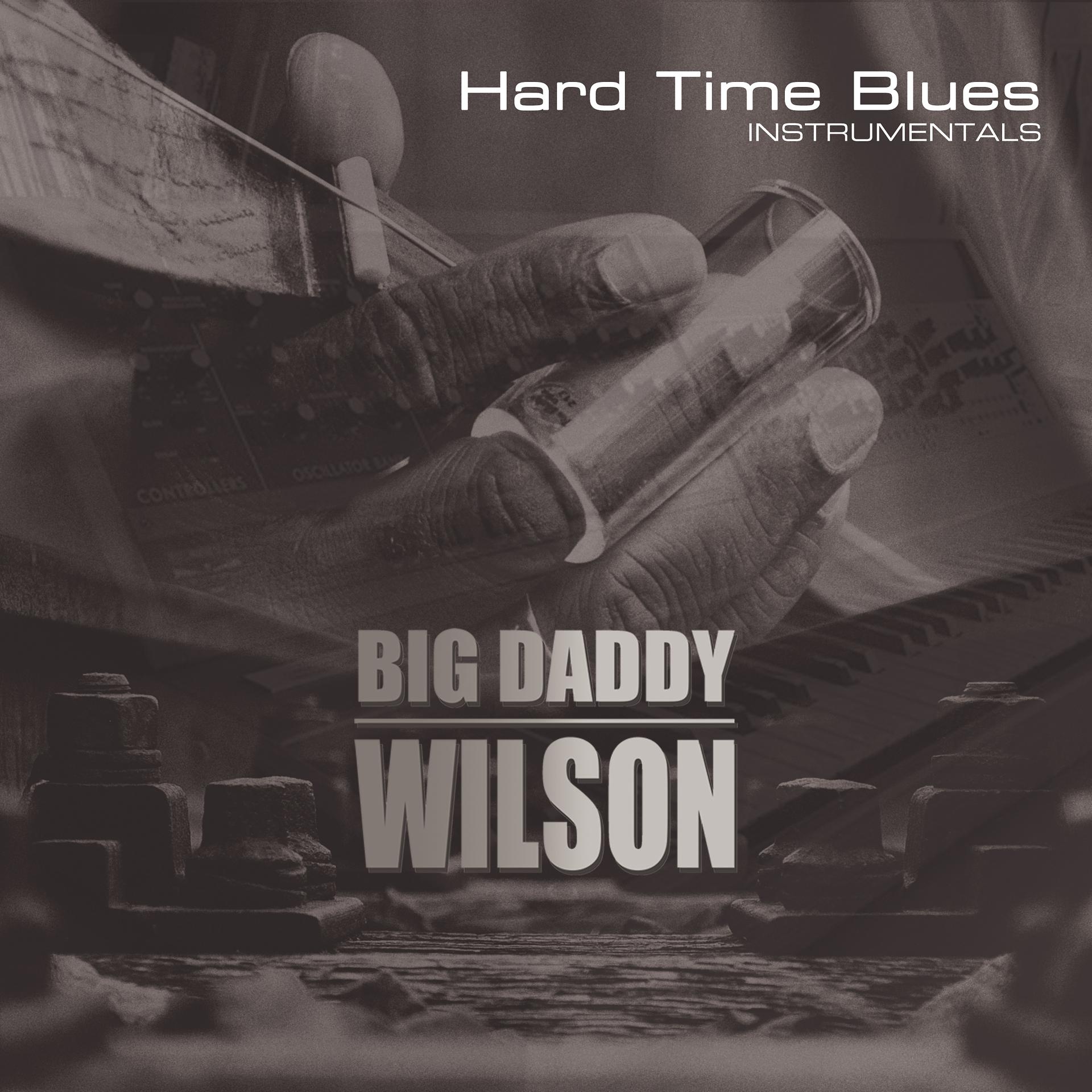 Постер альбома Hard Time Blues (Instrumentals)