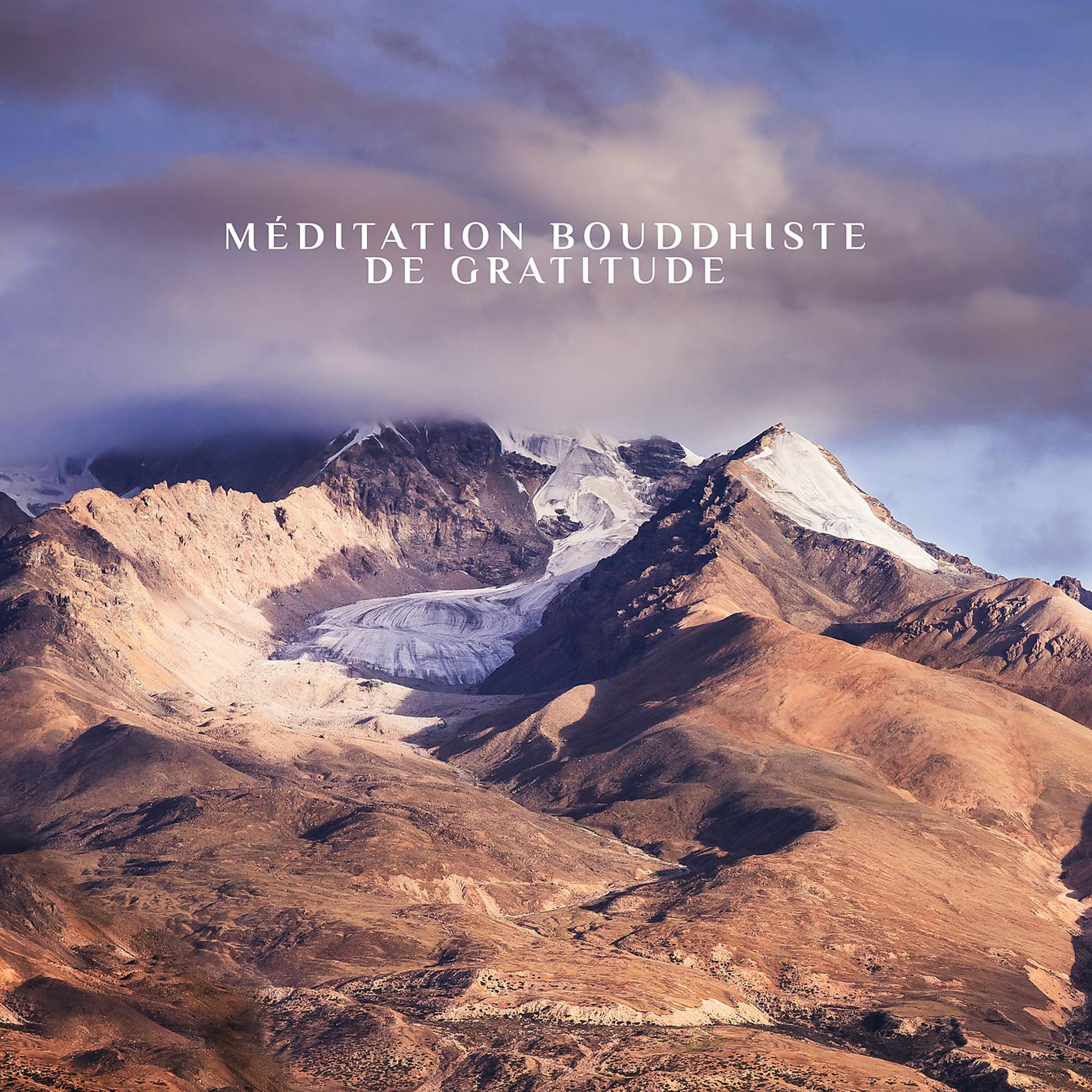 Постер альбома Méditation bouddhiste de gratitude