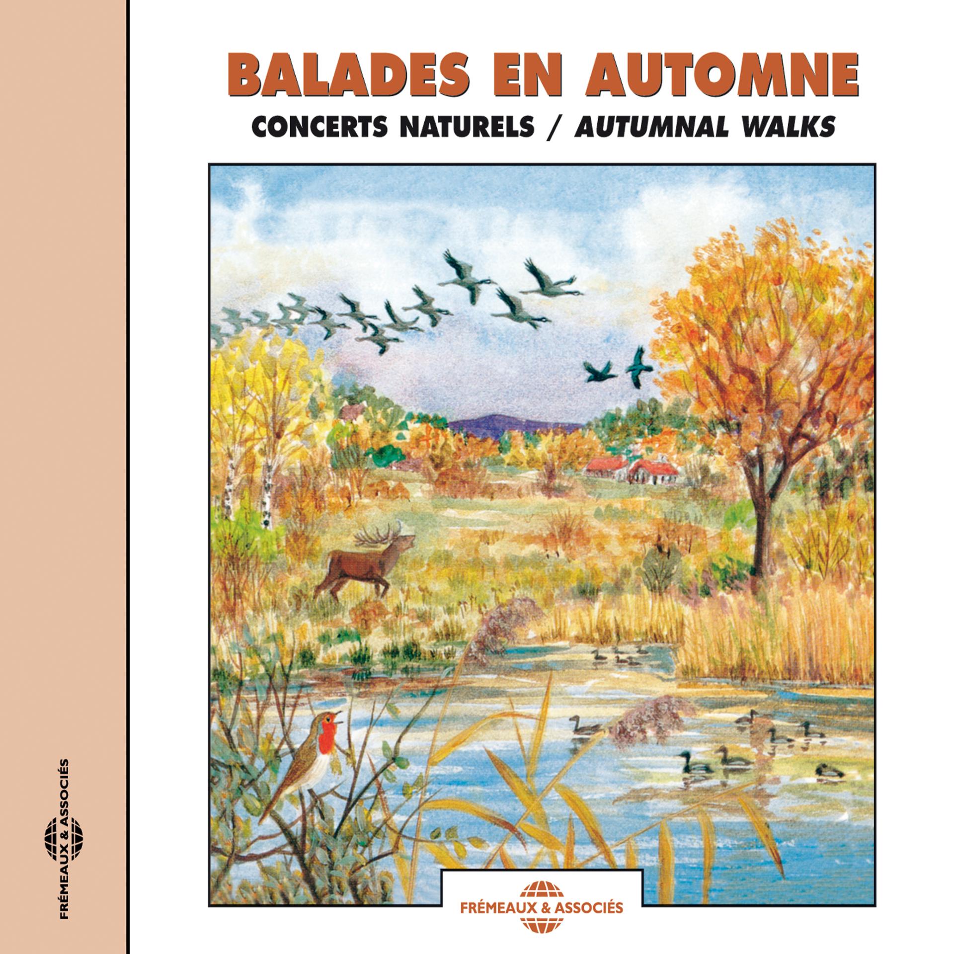Постер альбома Balades En Automne