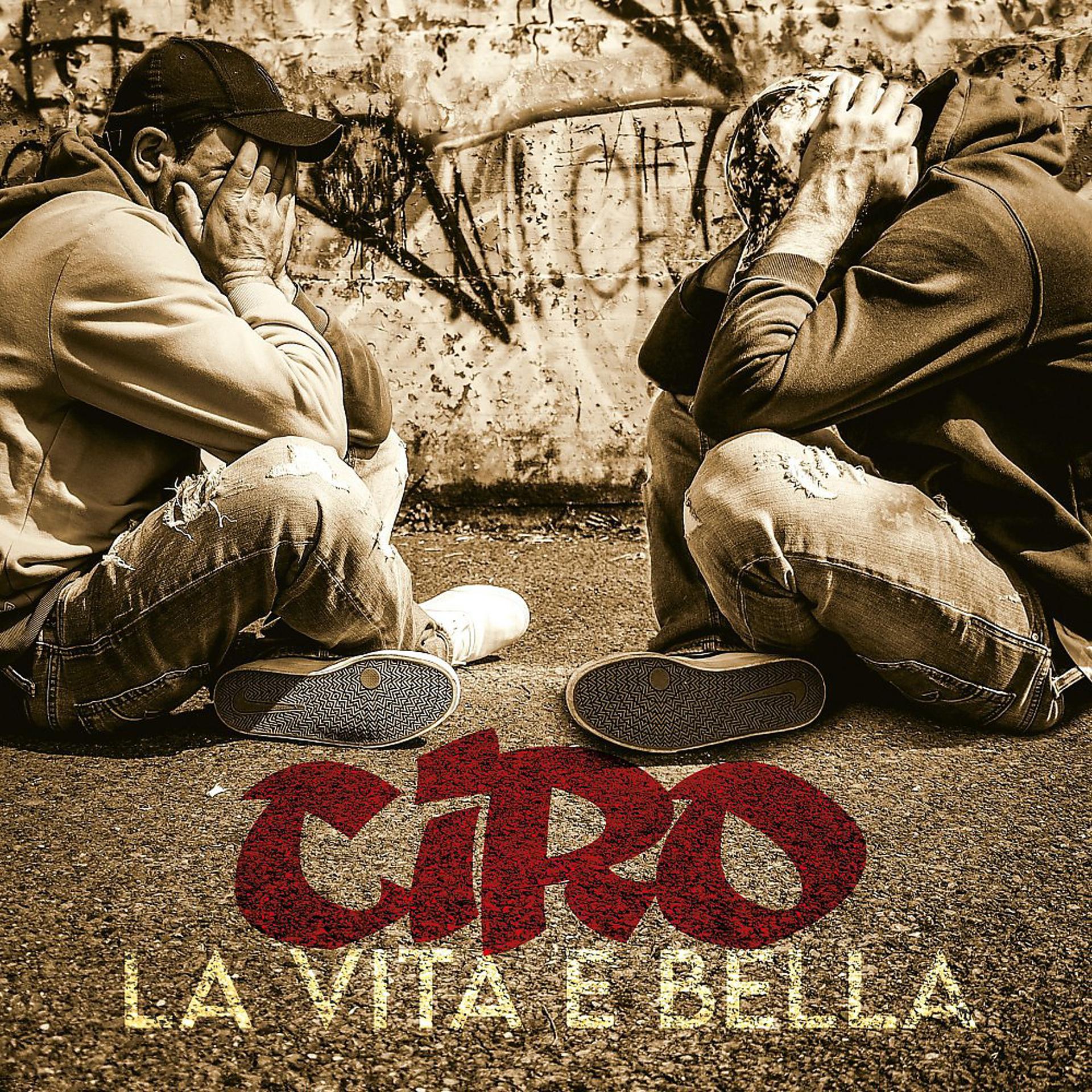 Постер альбома La vita e bella