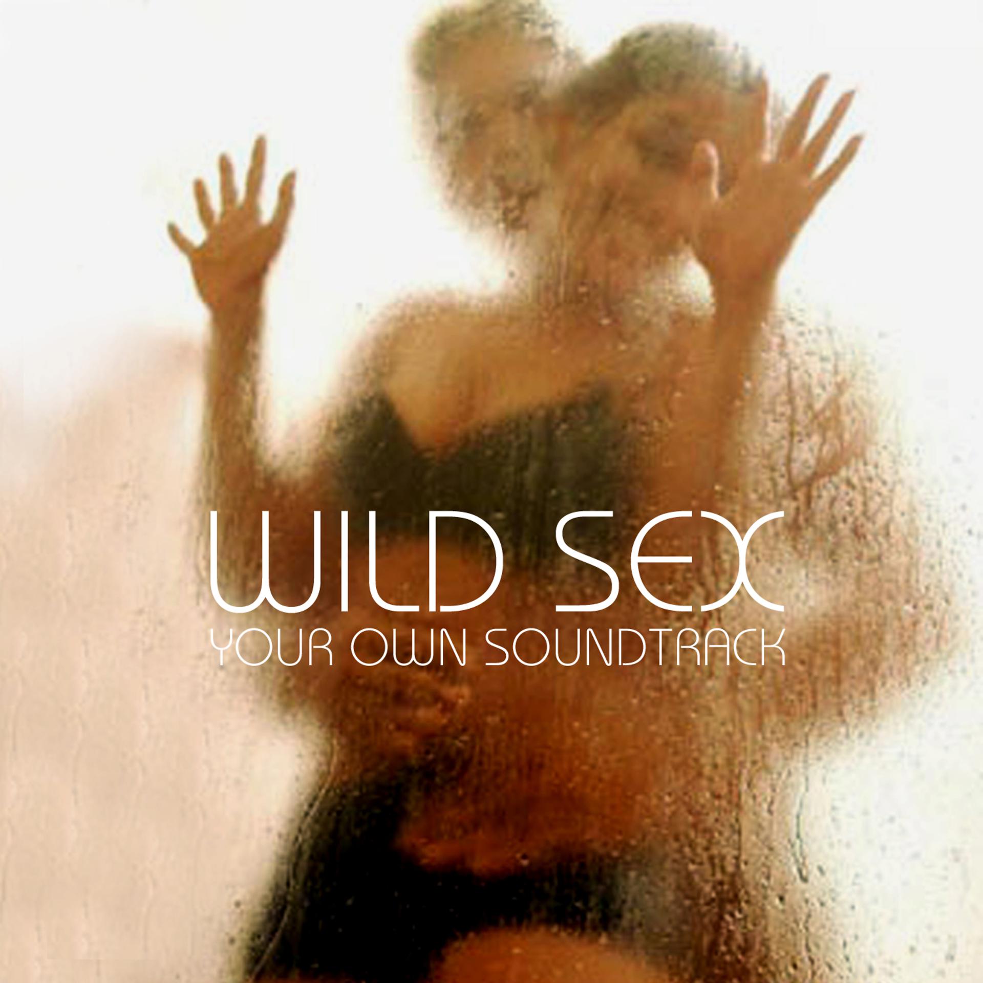 Постер альбома Wild Sex - Your Own Soundtrack