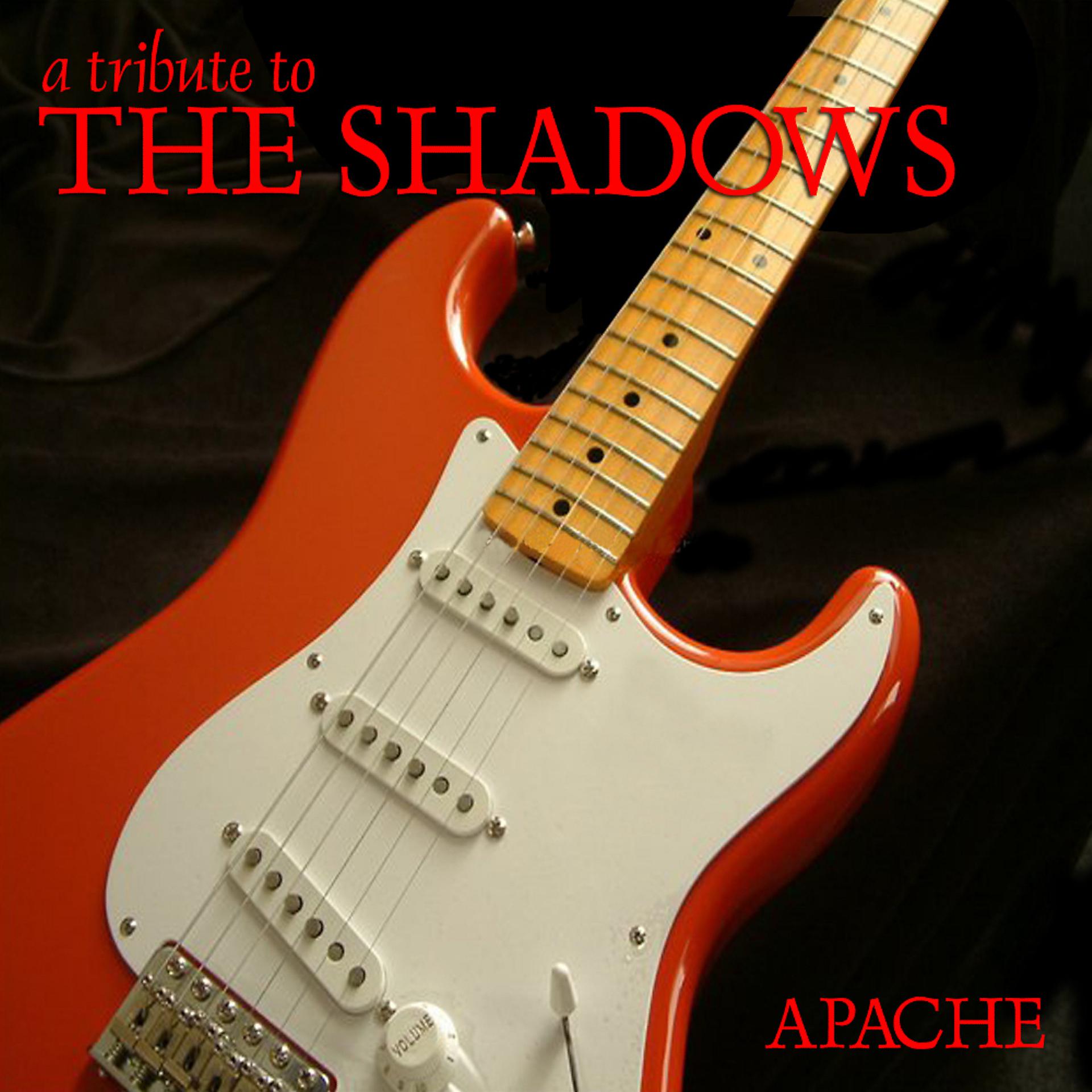 Постер альбома APACHE: A Tribute to the Shadows