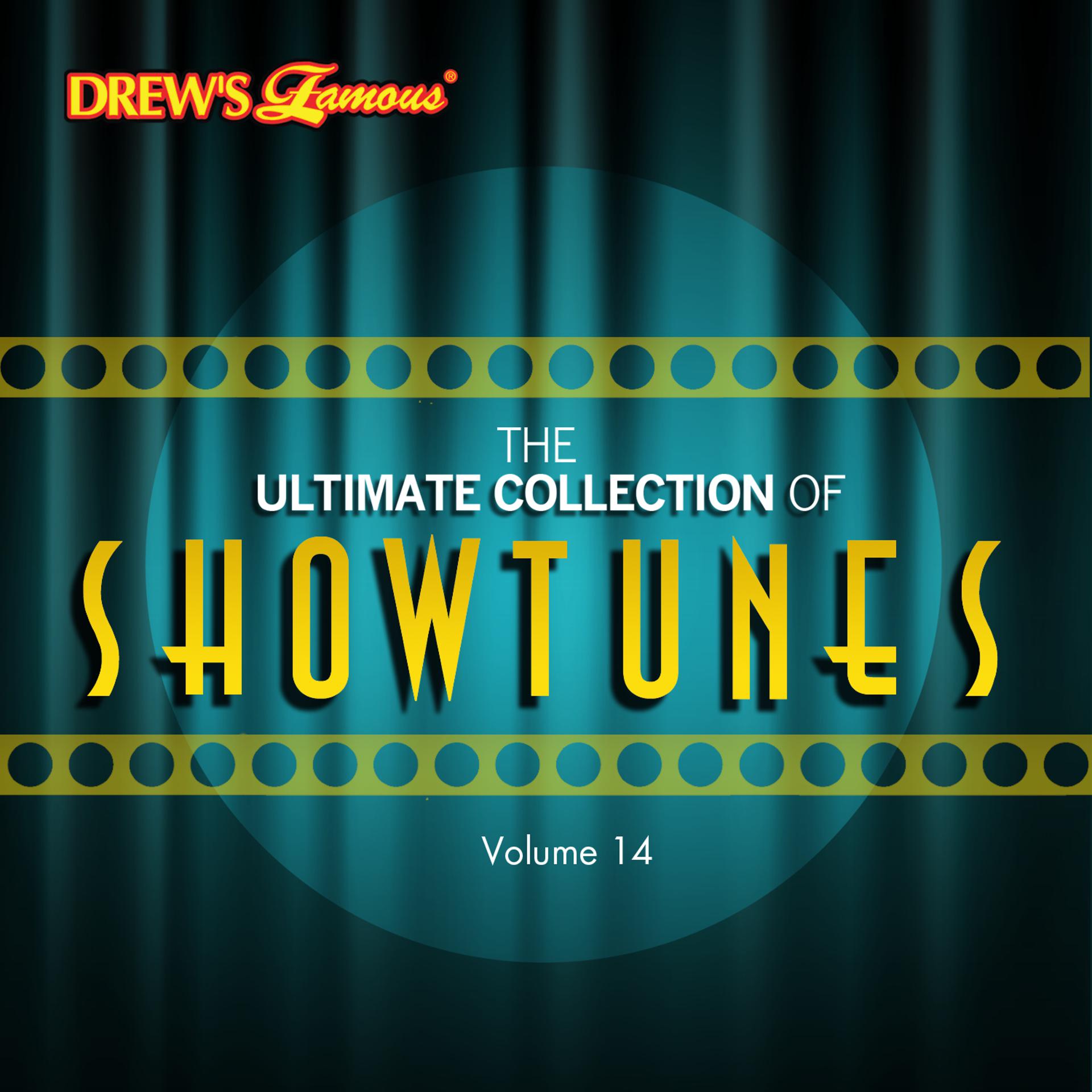 Постер альбома The Ultimate Collection of Showtunes, Vol. 14