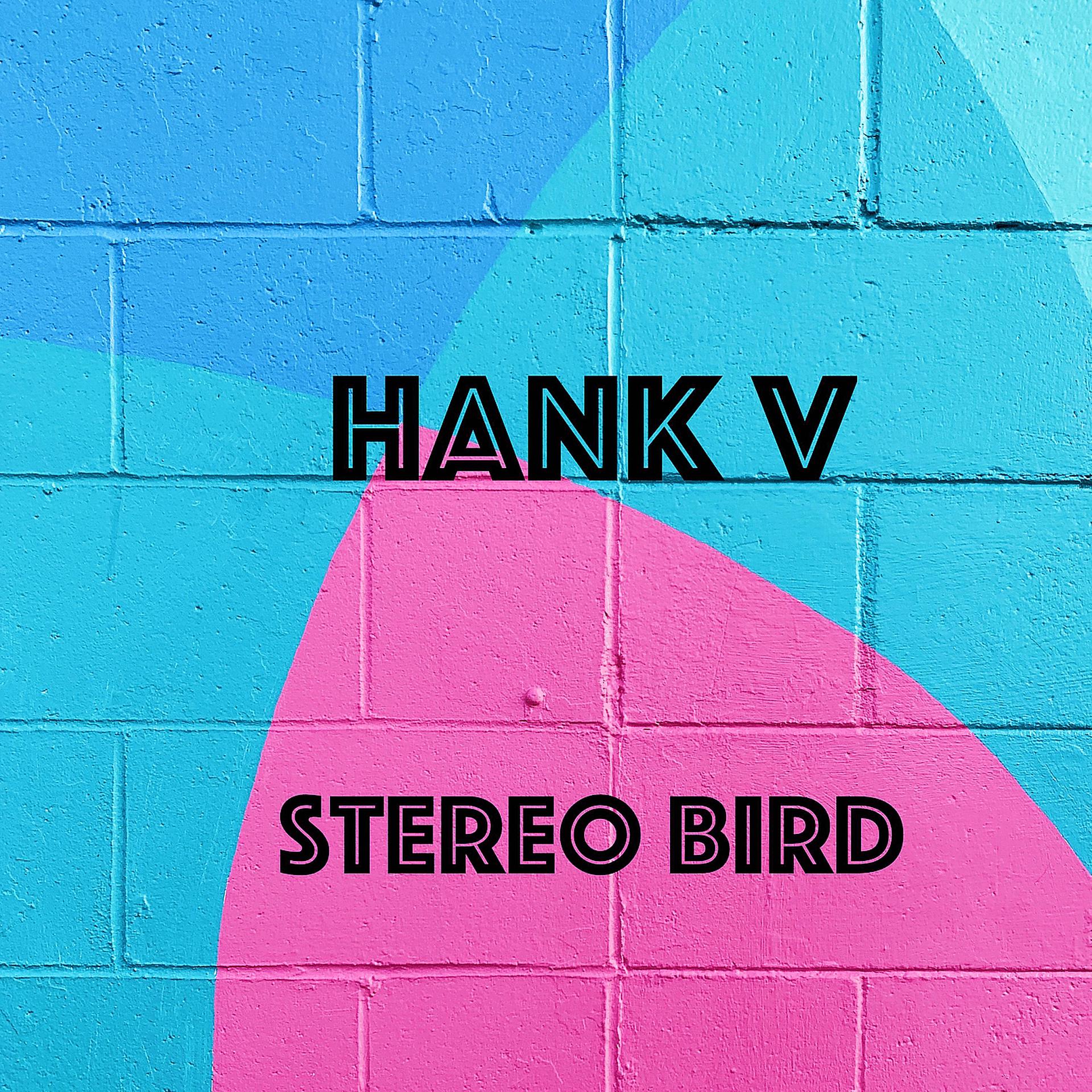 Постер альбома Stereo Bird