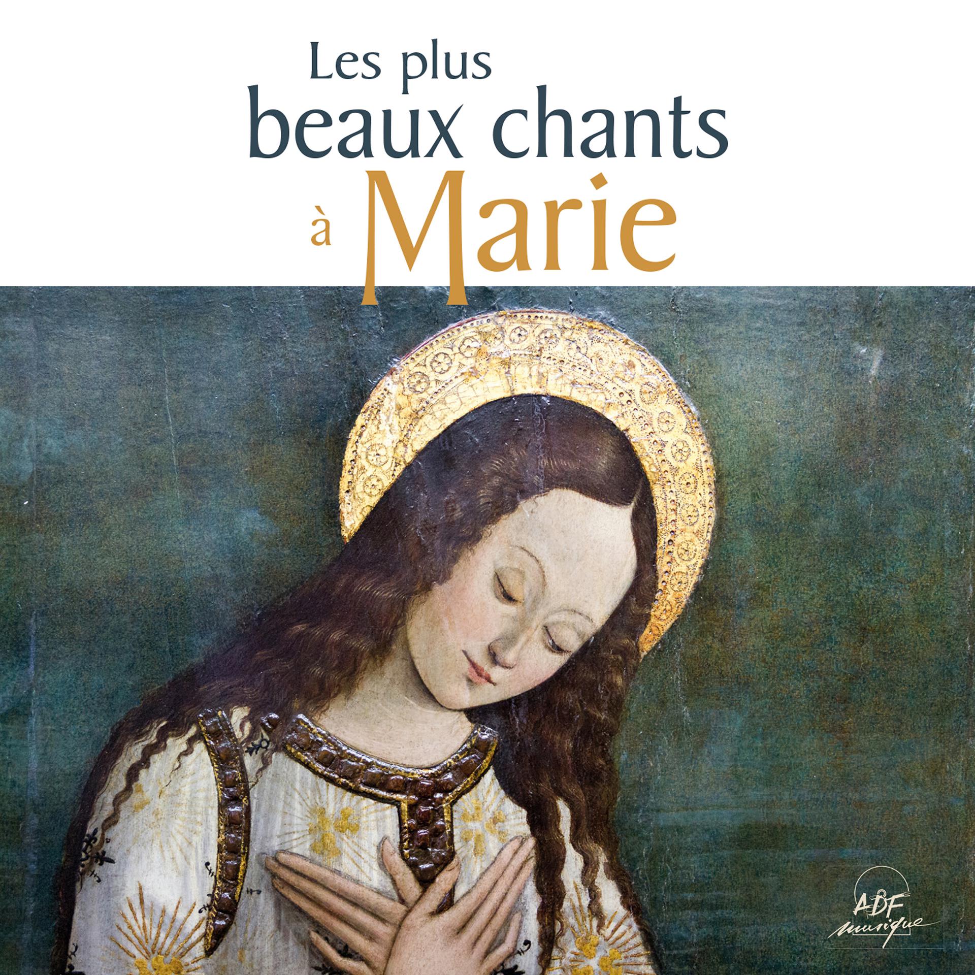 Постер альбома Les plus beaux chants à Marie