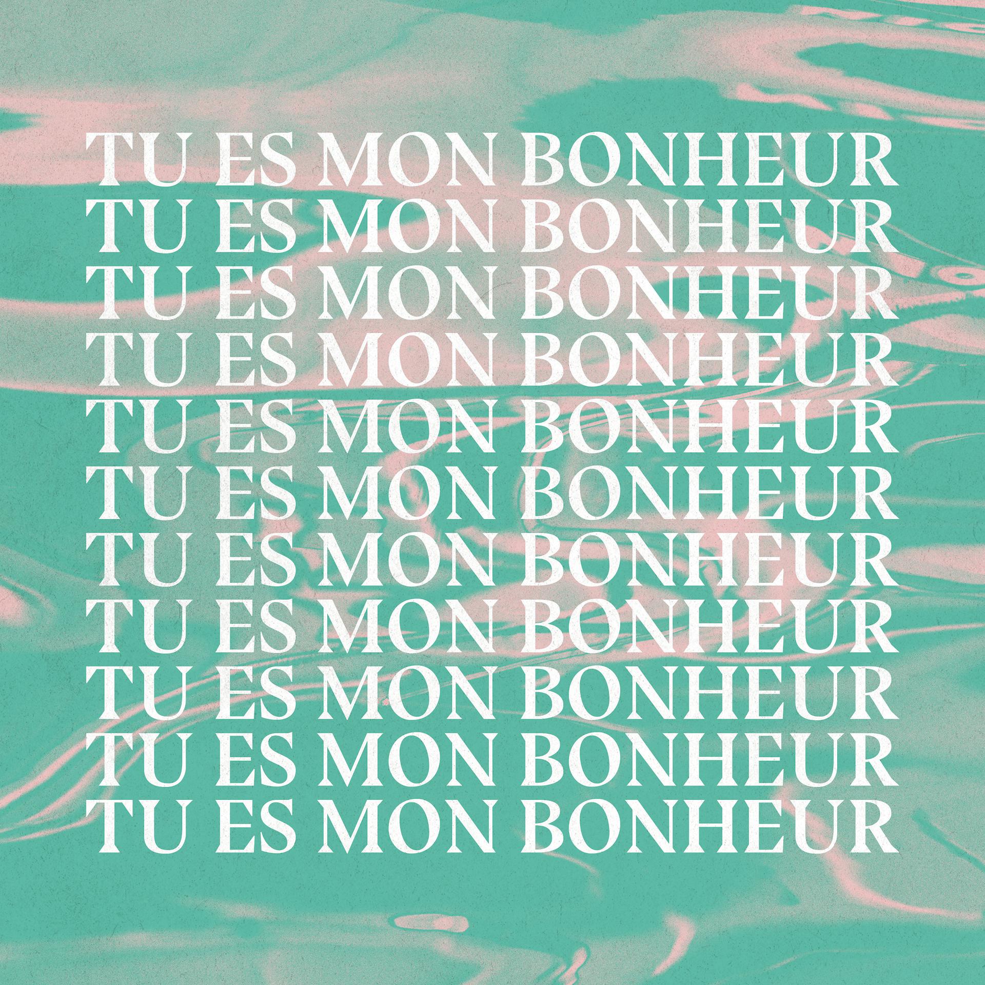 Постер альбома Tu es mon bonheur