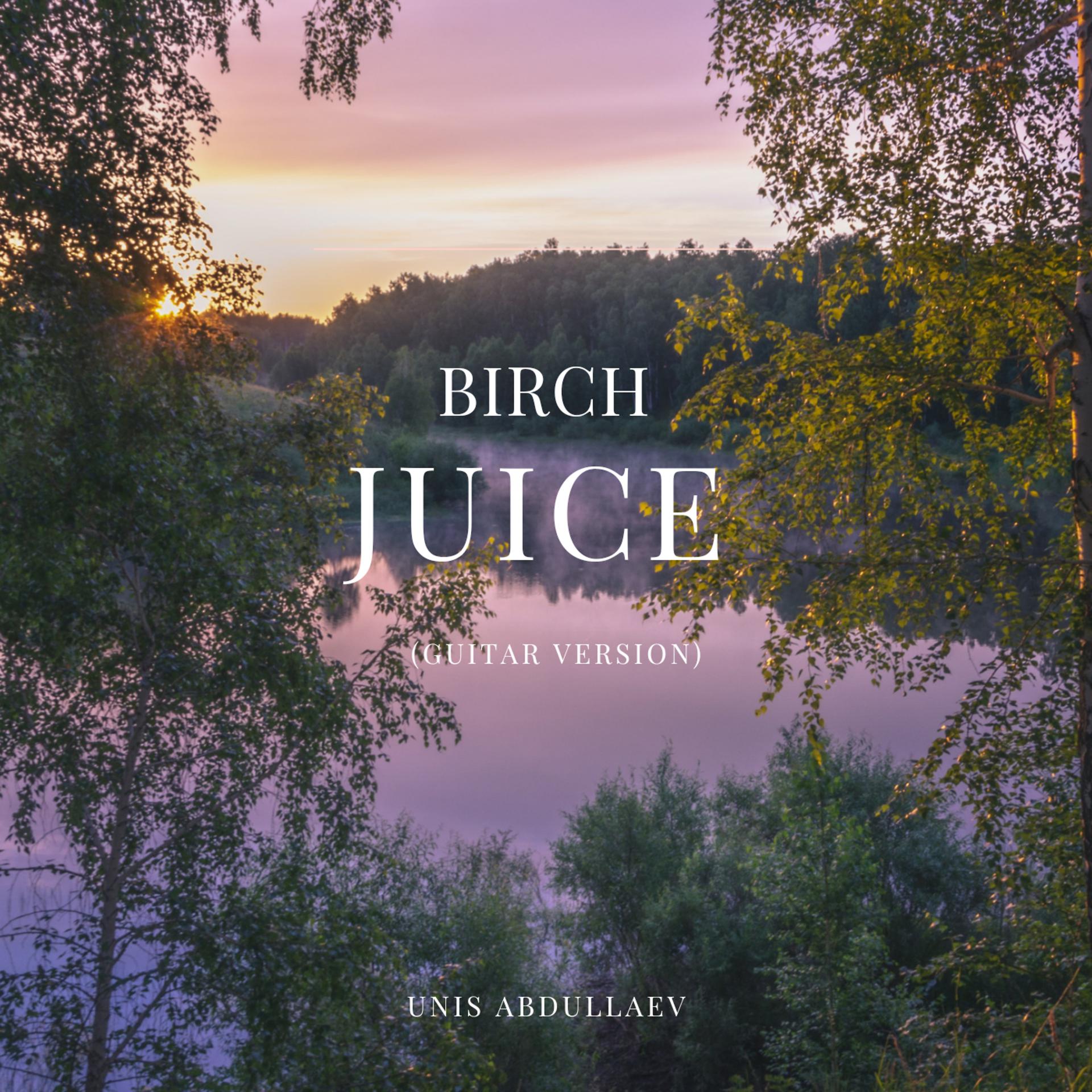 Постер альбома Birch Juice (Guitar Version)
