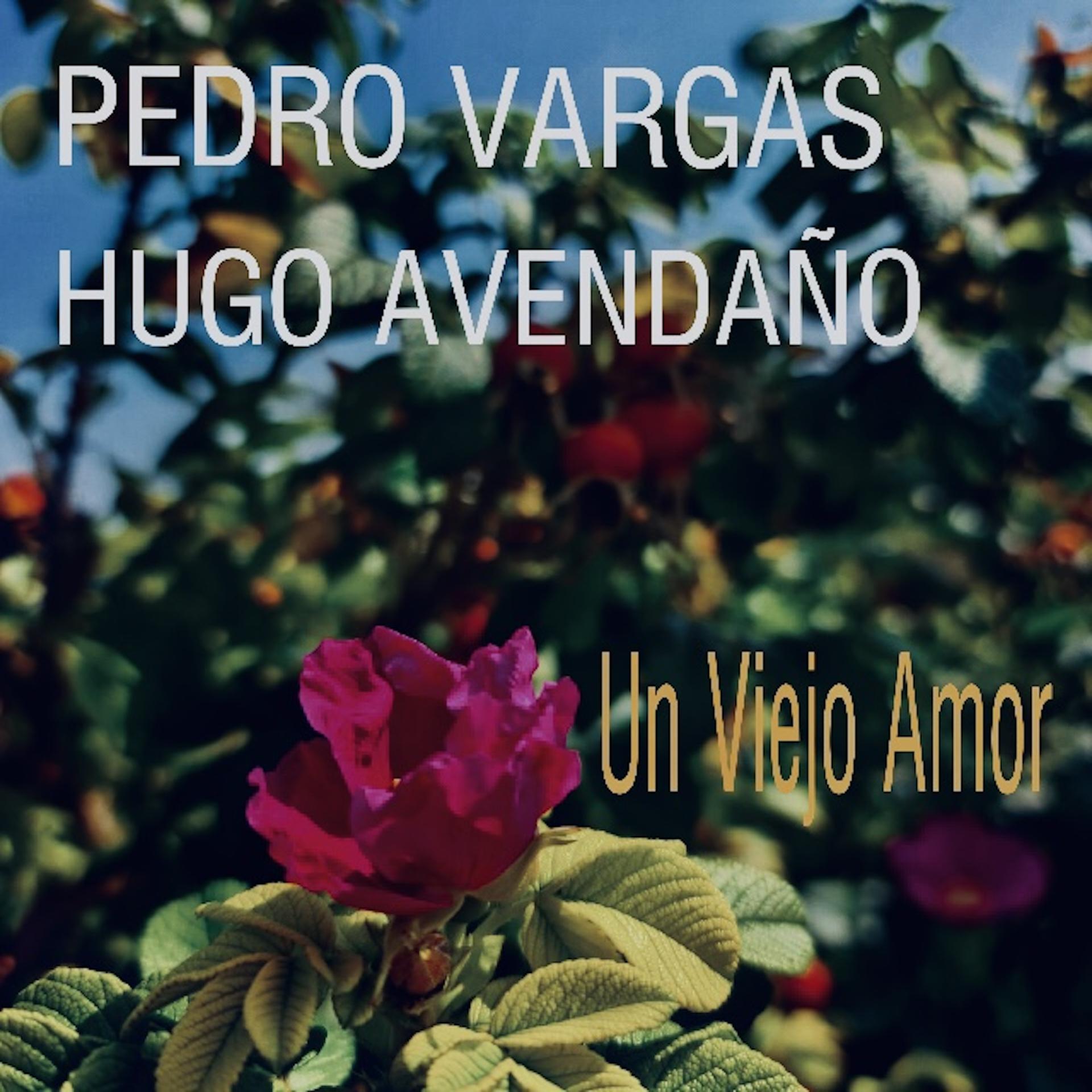 Постер альбома Un Viejo Amor