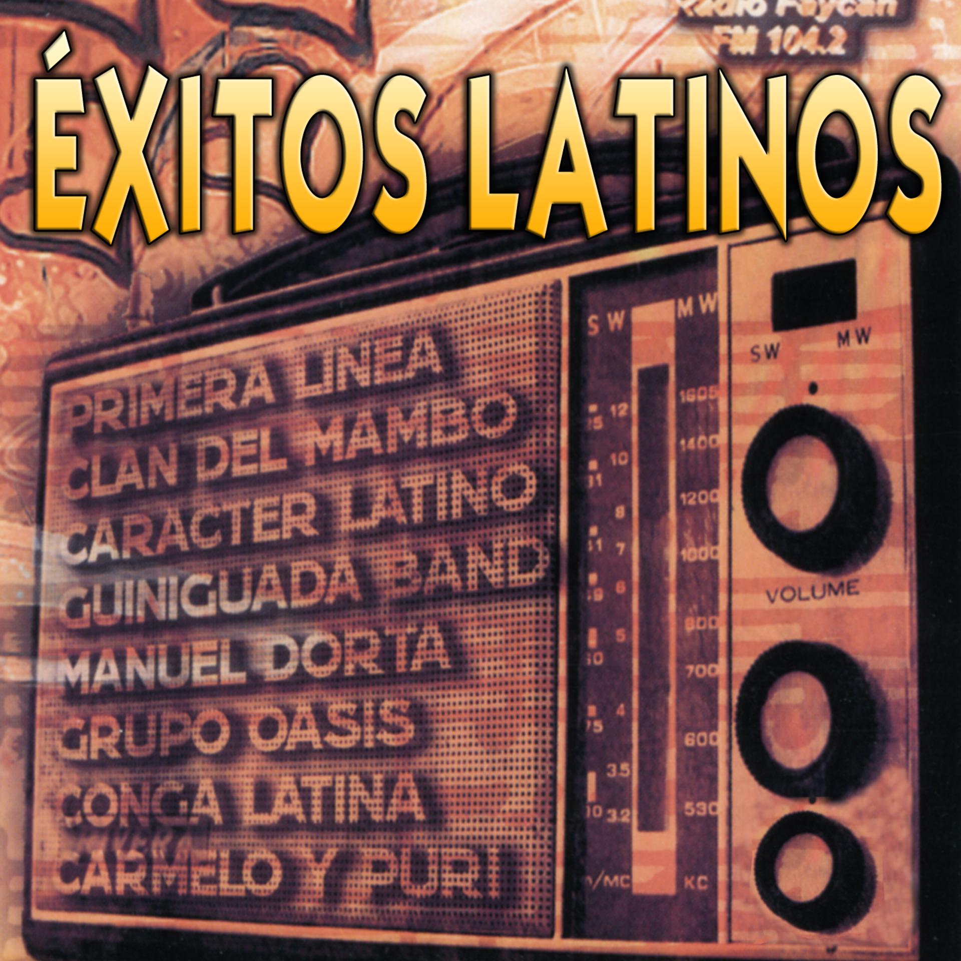 Постер альбома Exitos Latinos