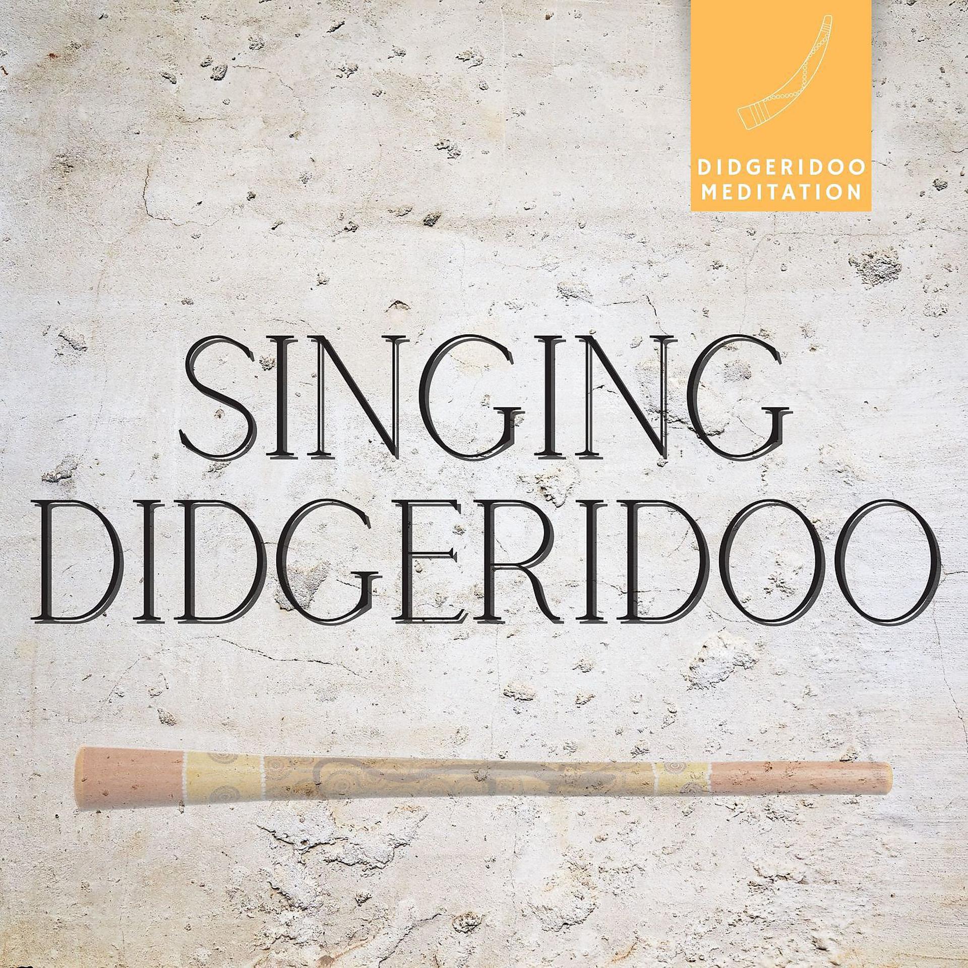 Постер альбома Singing Didgeridoo, Meditation & Yoga, Sleep Music