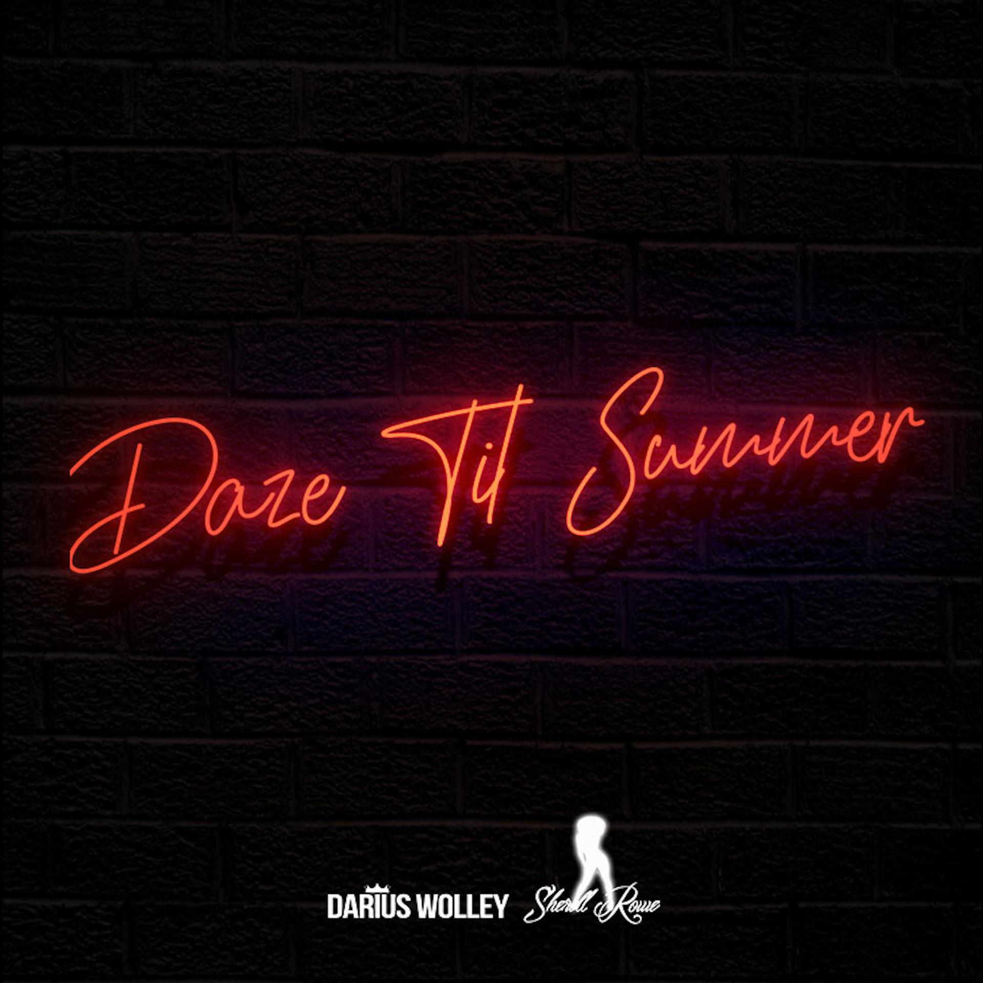 Постер альбома Daze til Summer