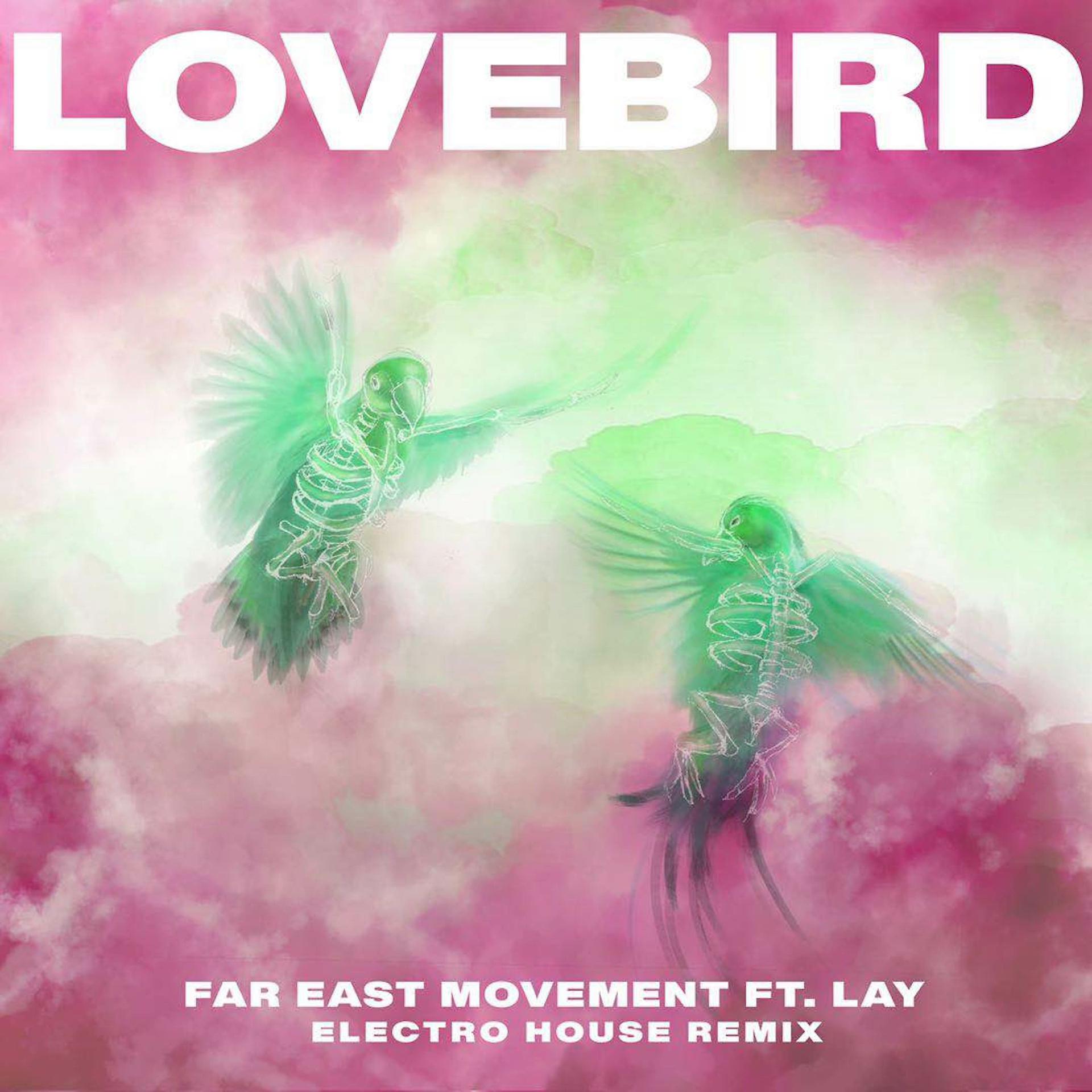 Постер альбома Lovebird (Electro House Remix)