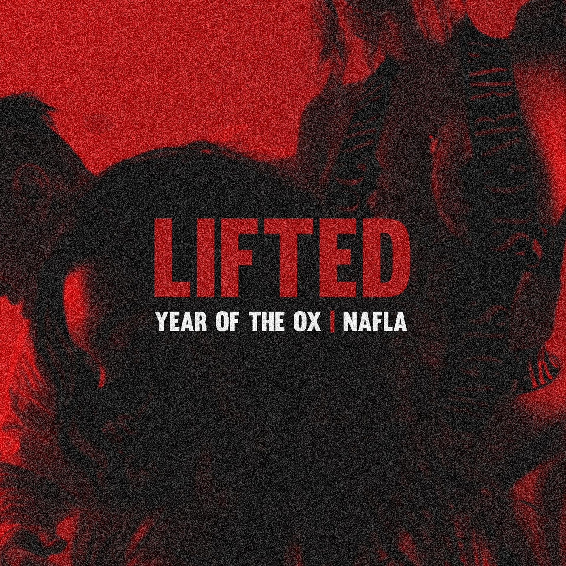 Постер альбома Lifted (feat. Nafla)