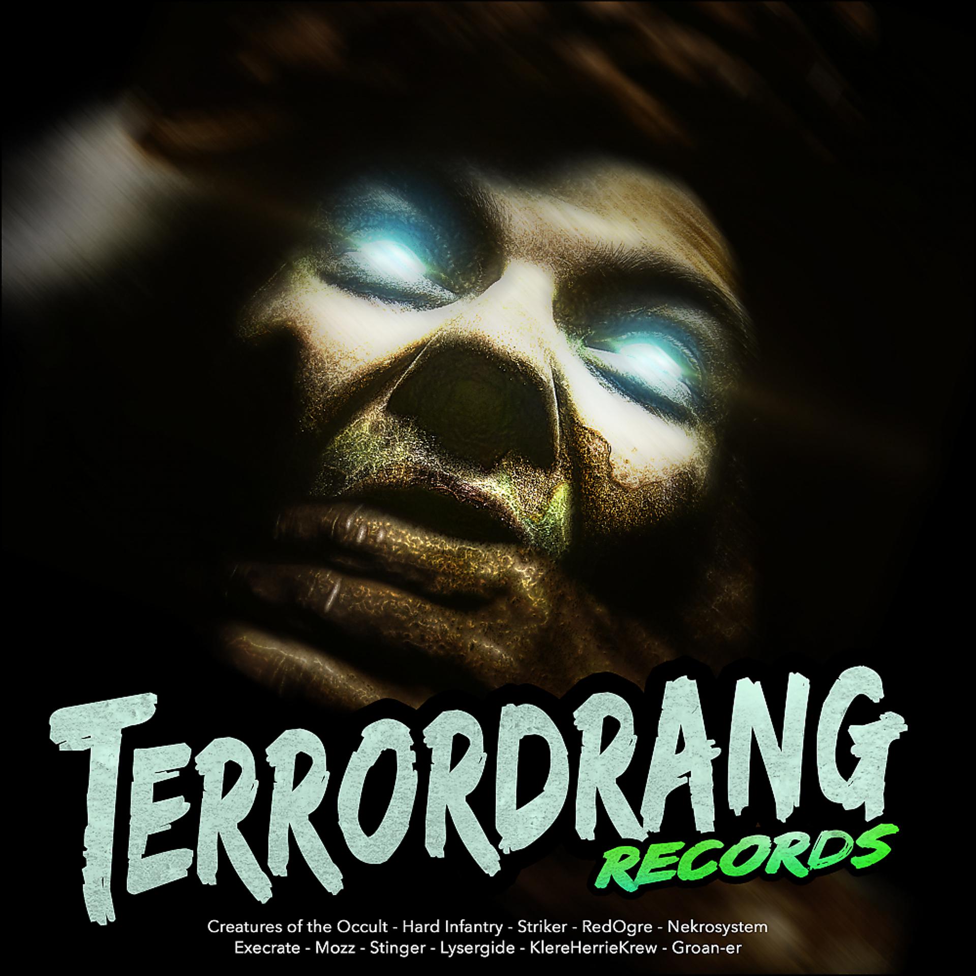 Постер альбома Terrordrang Records 007